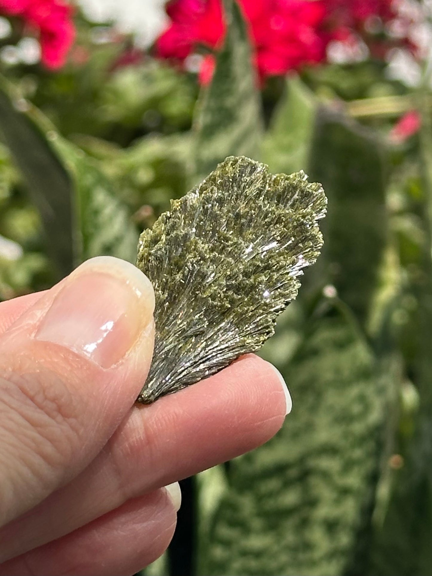 Epidote Fan