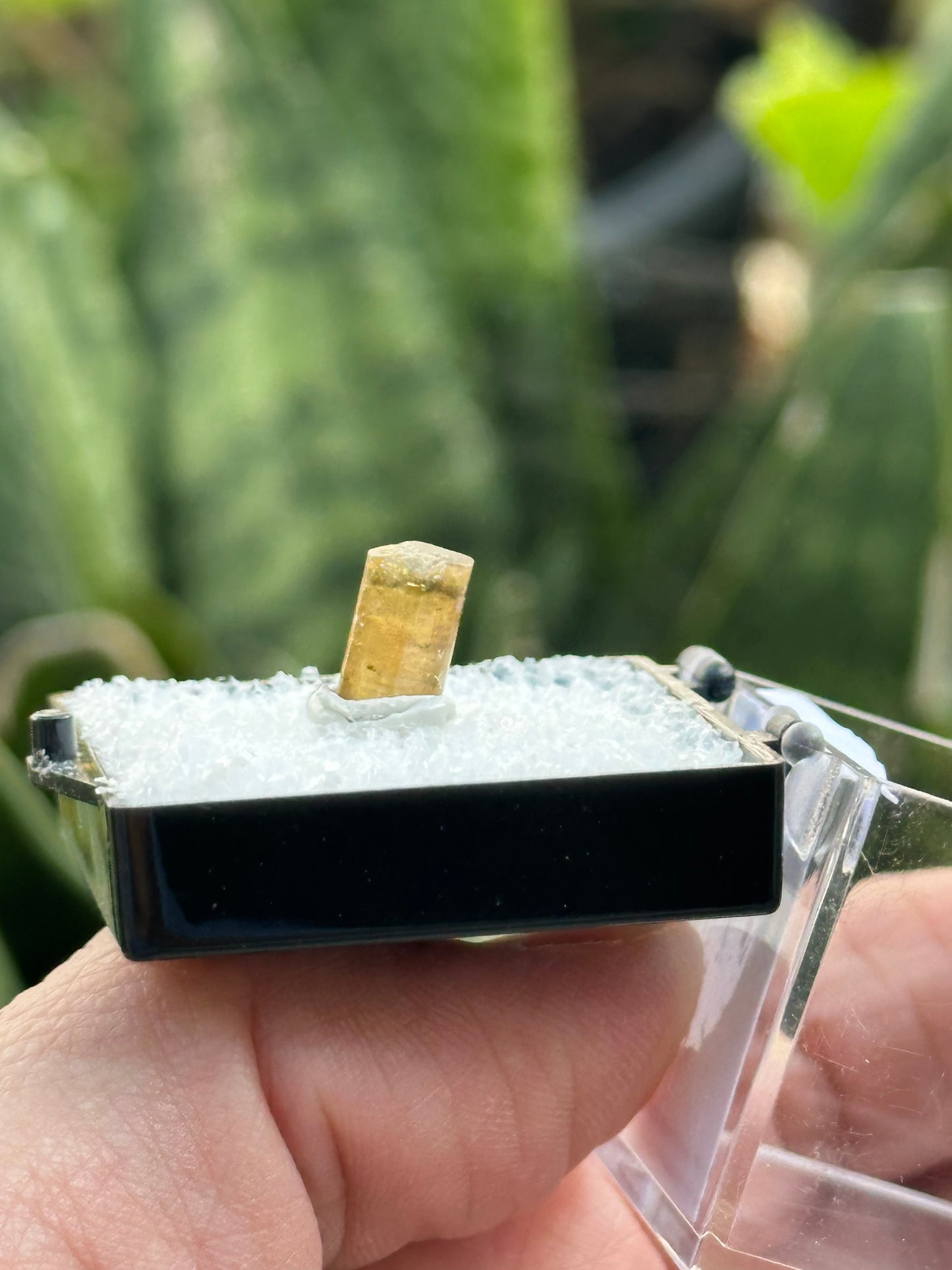 Elbaite Tourmaline