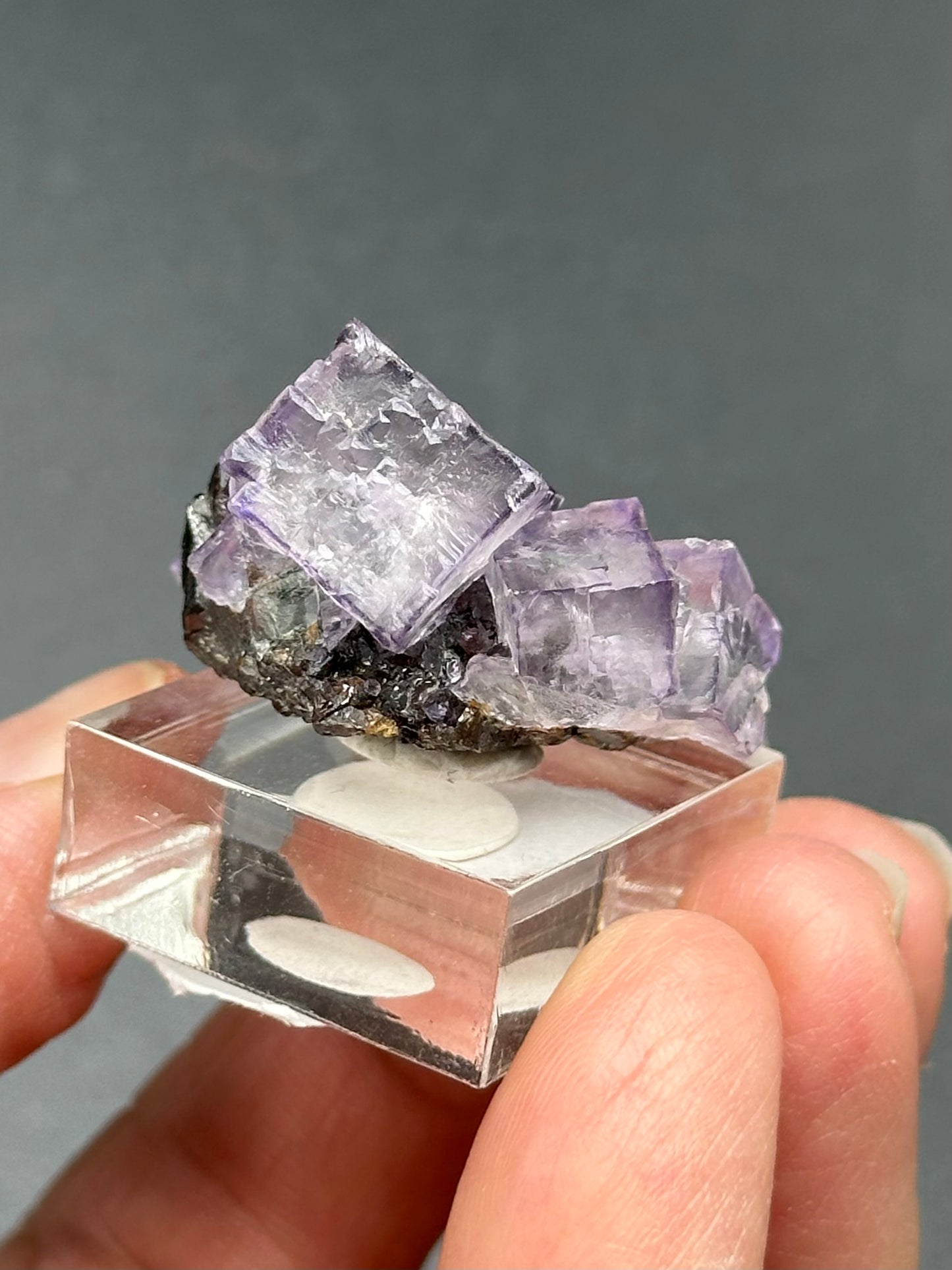 Elmwood Fluorite