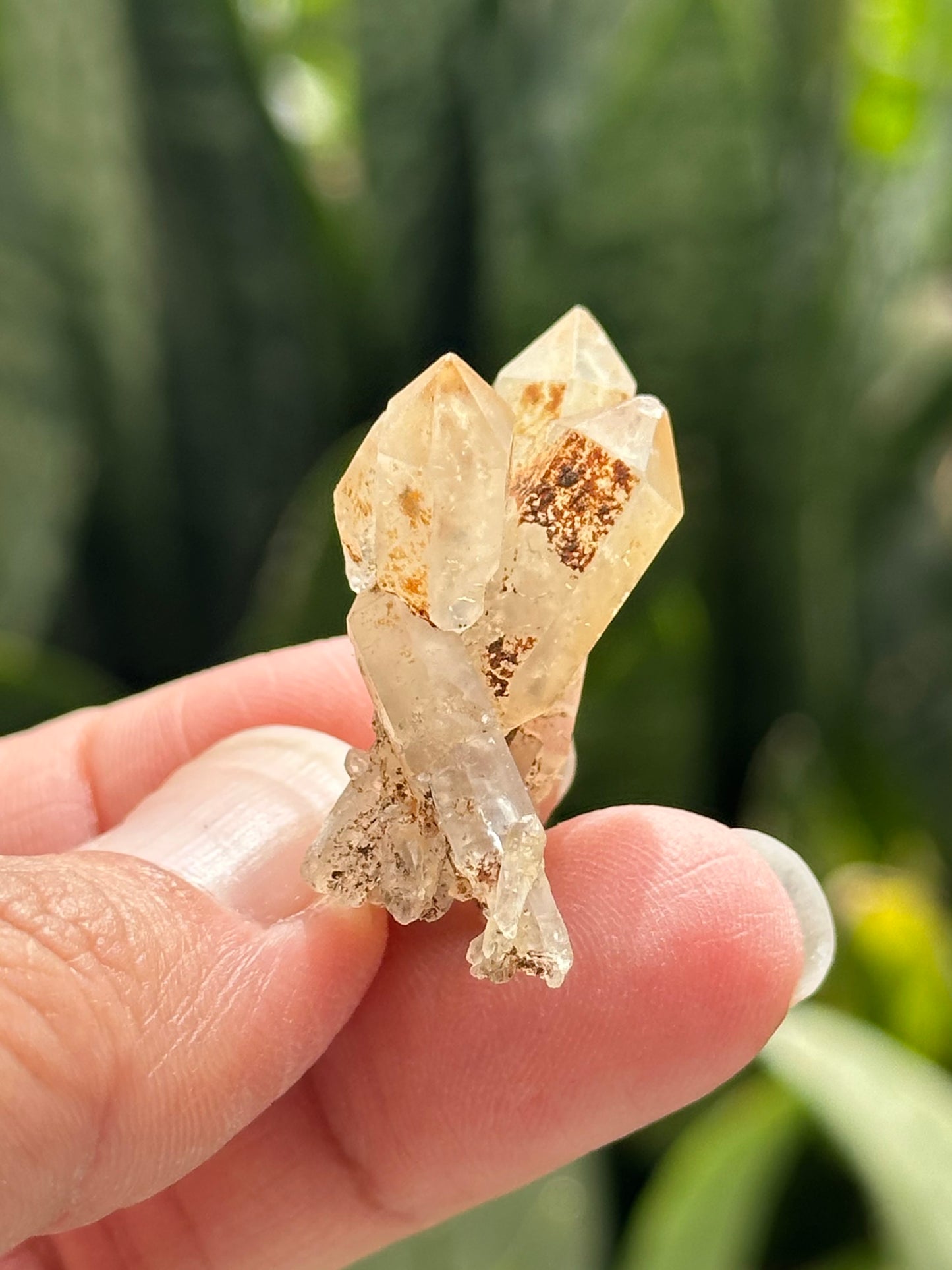 Quartz Scepter