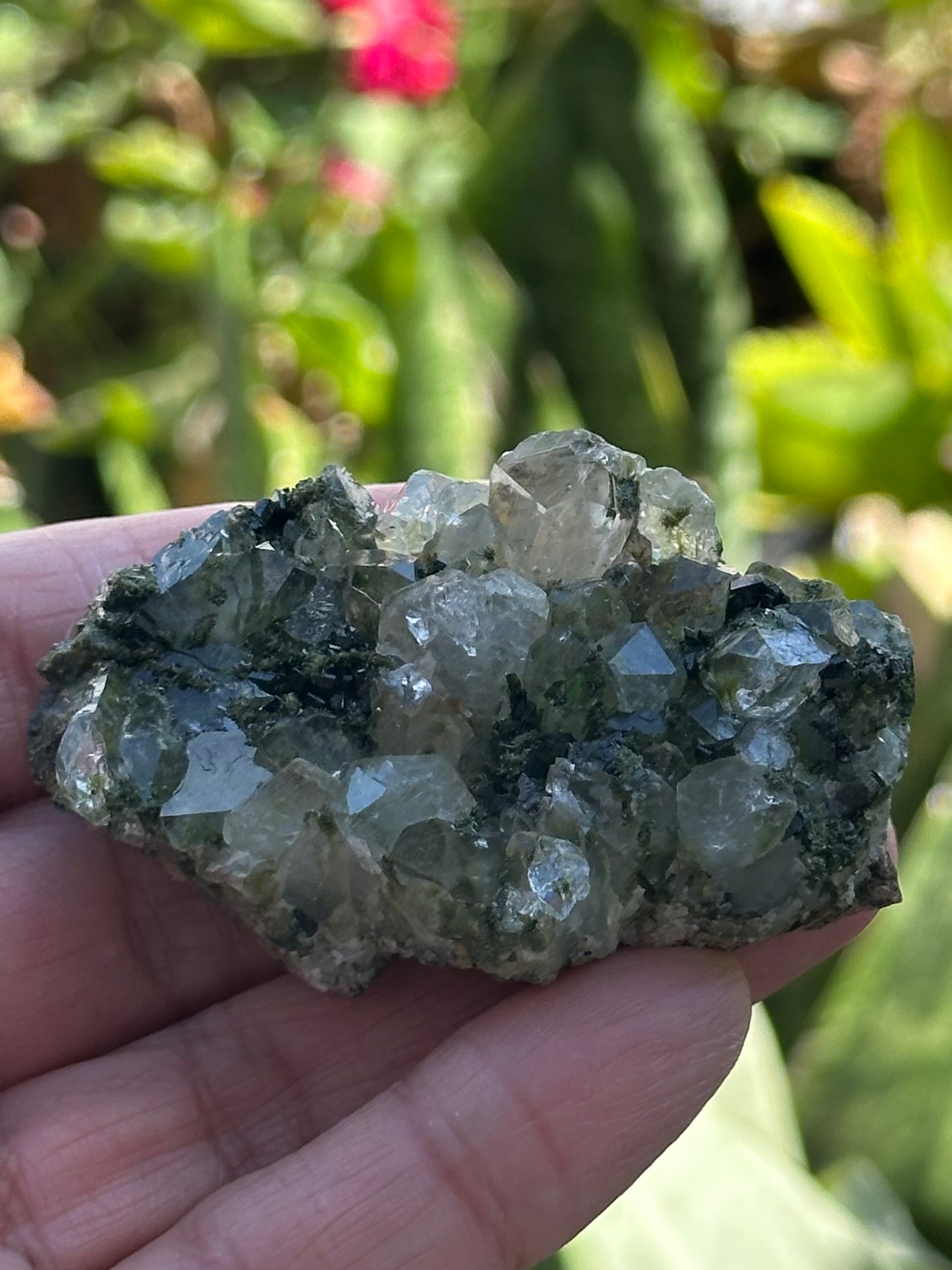 Epidote with Quartz