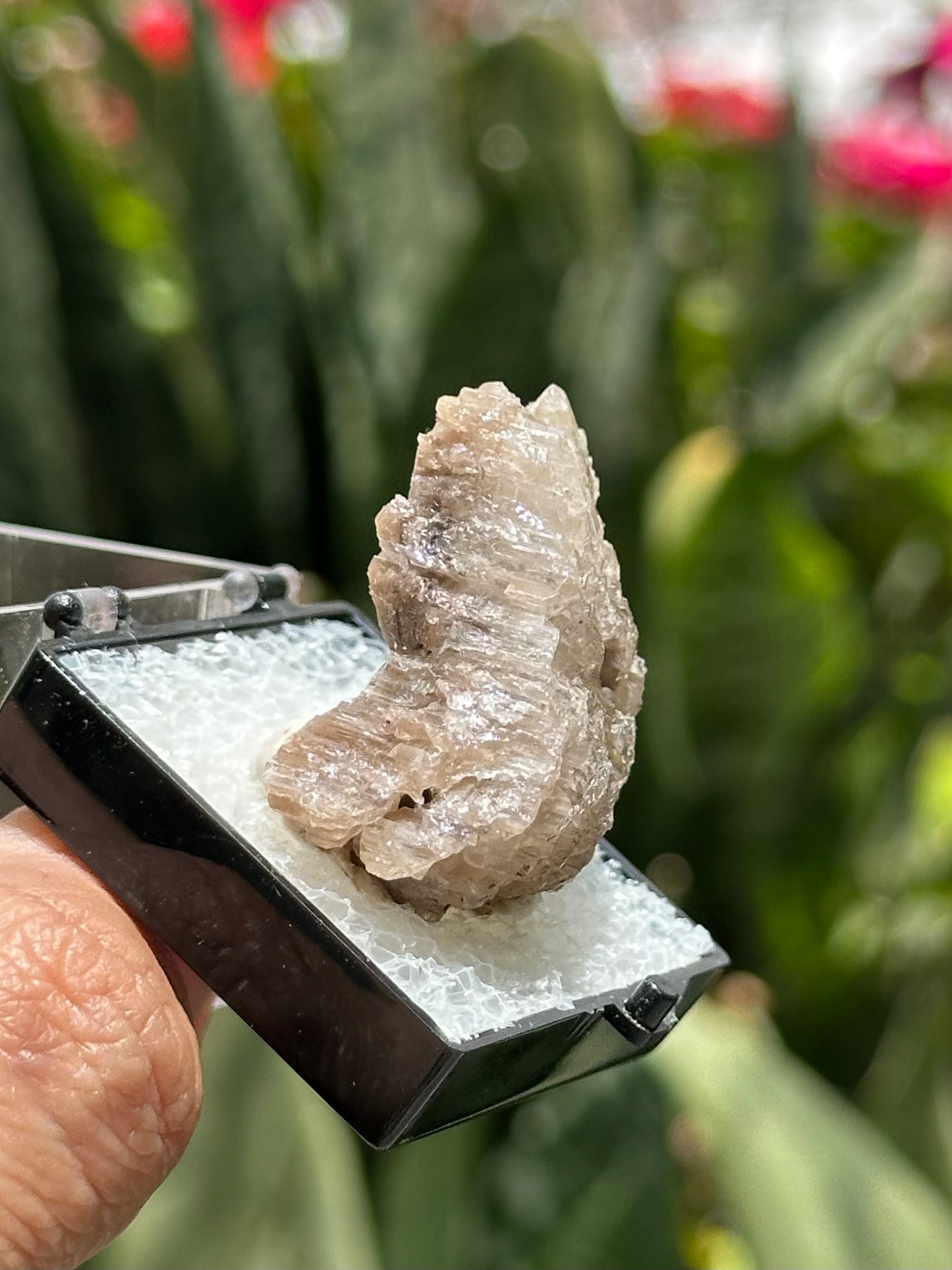 Cerussite