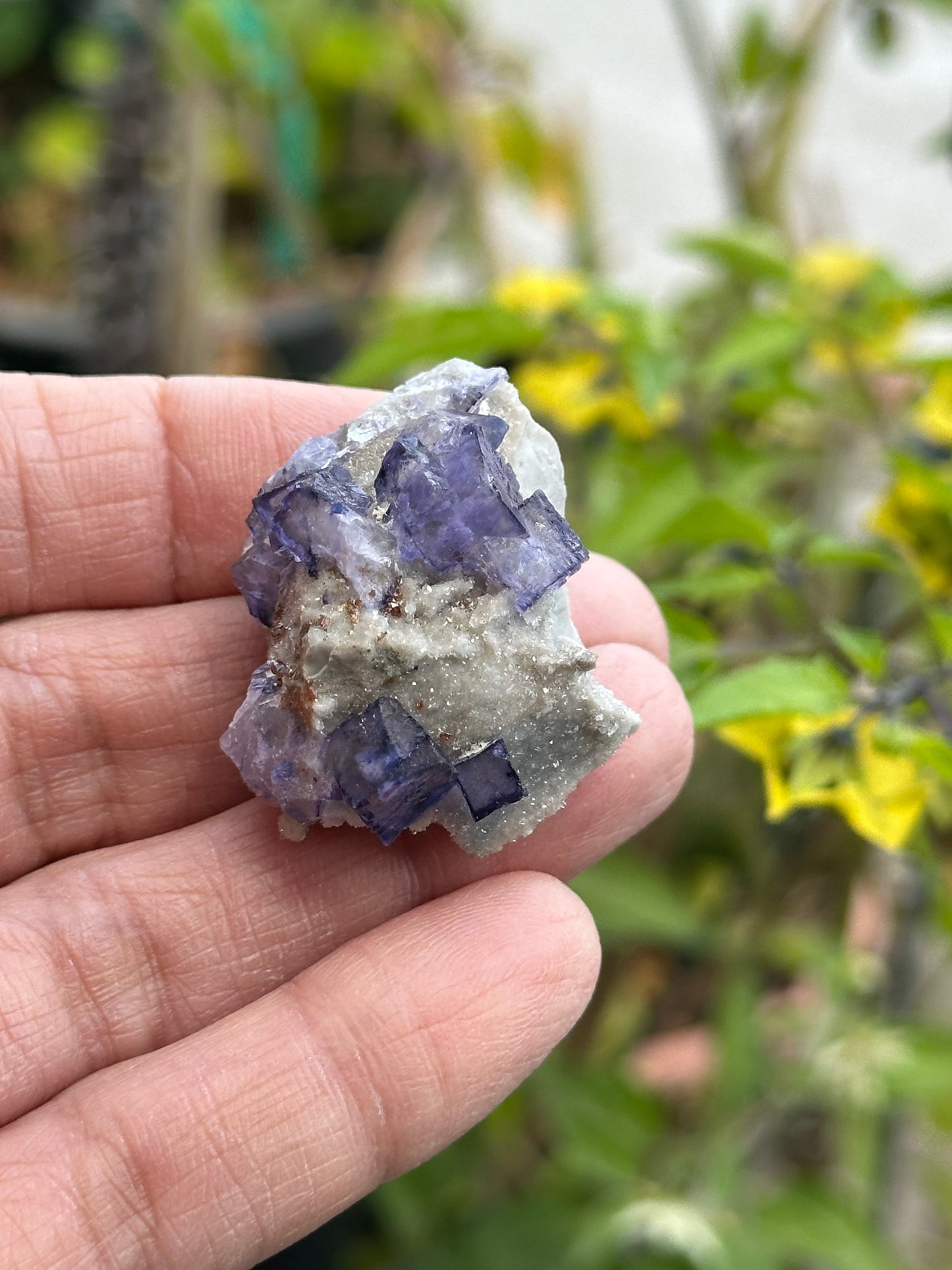 Elmwood Fluorite