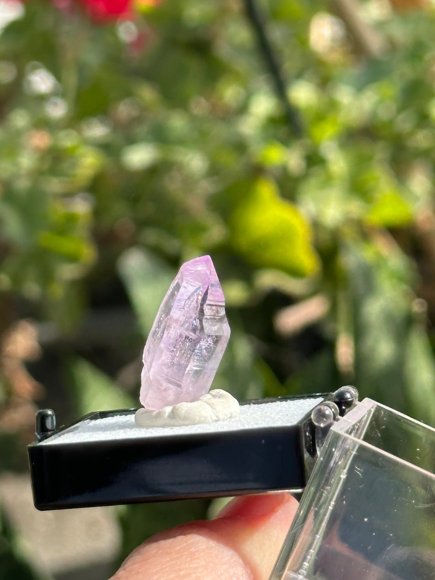 Veracruz Amethyst Crystal