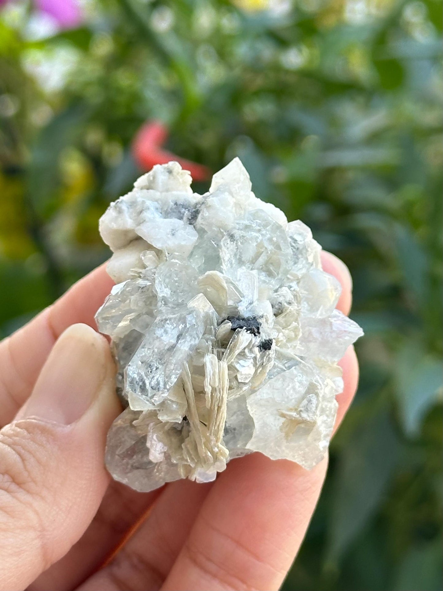 Aquamarine with Albite and Pegmatite