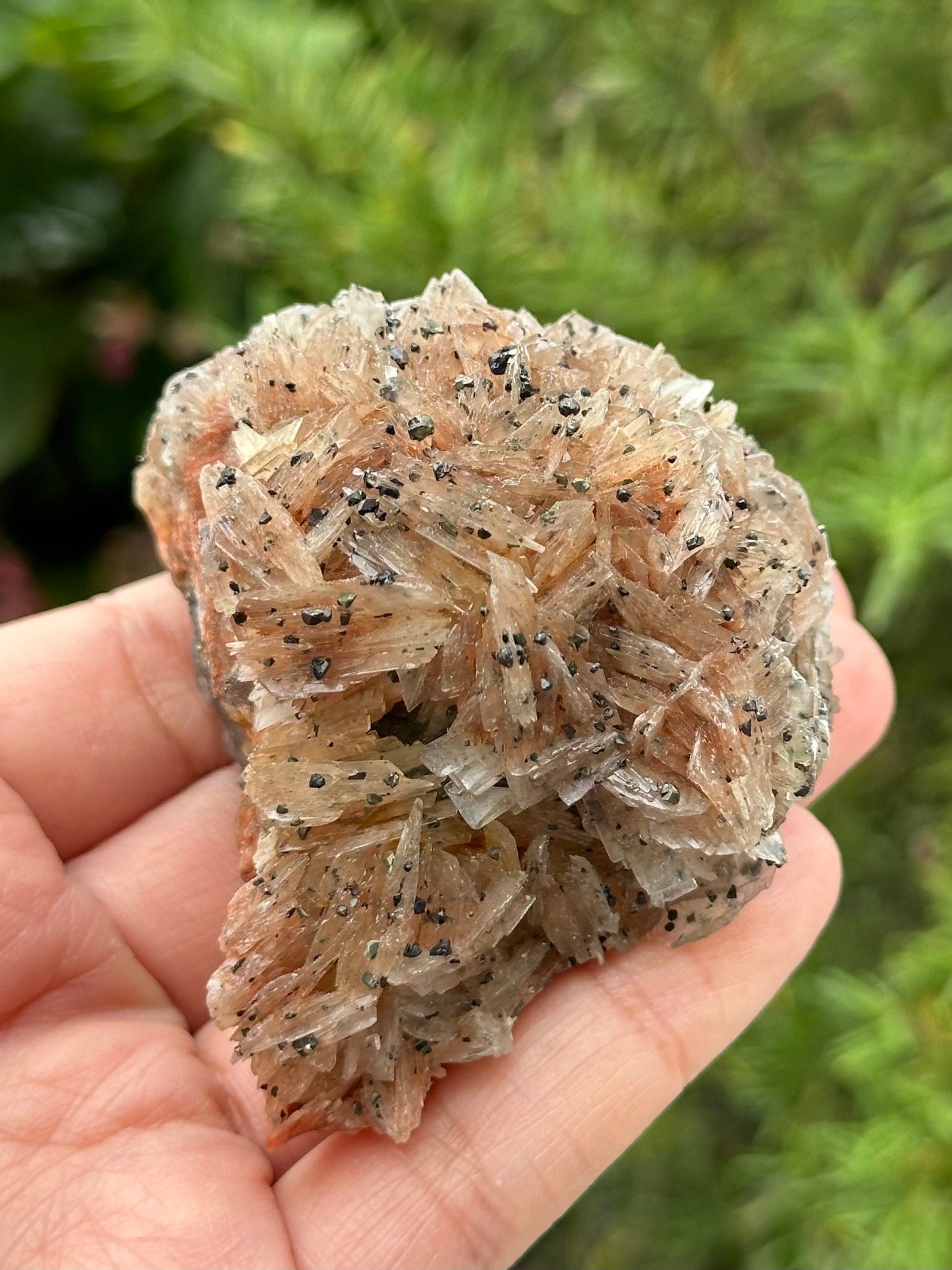 Barite Specimen from Morocco