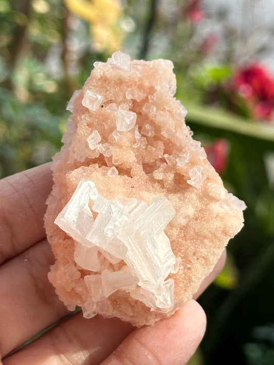 Light Pink Halite on Trona