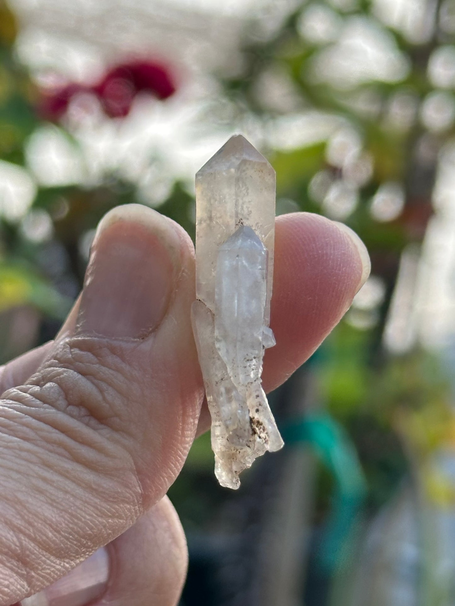 Quartz Scepter