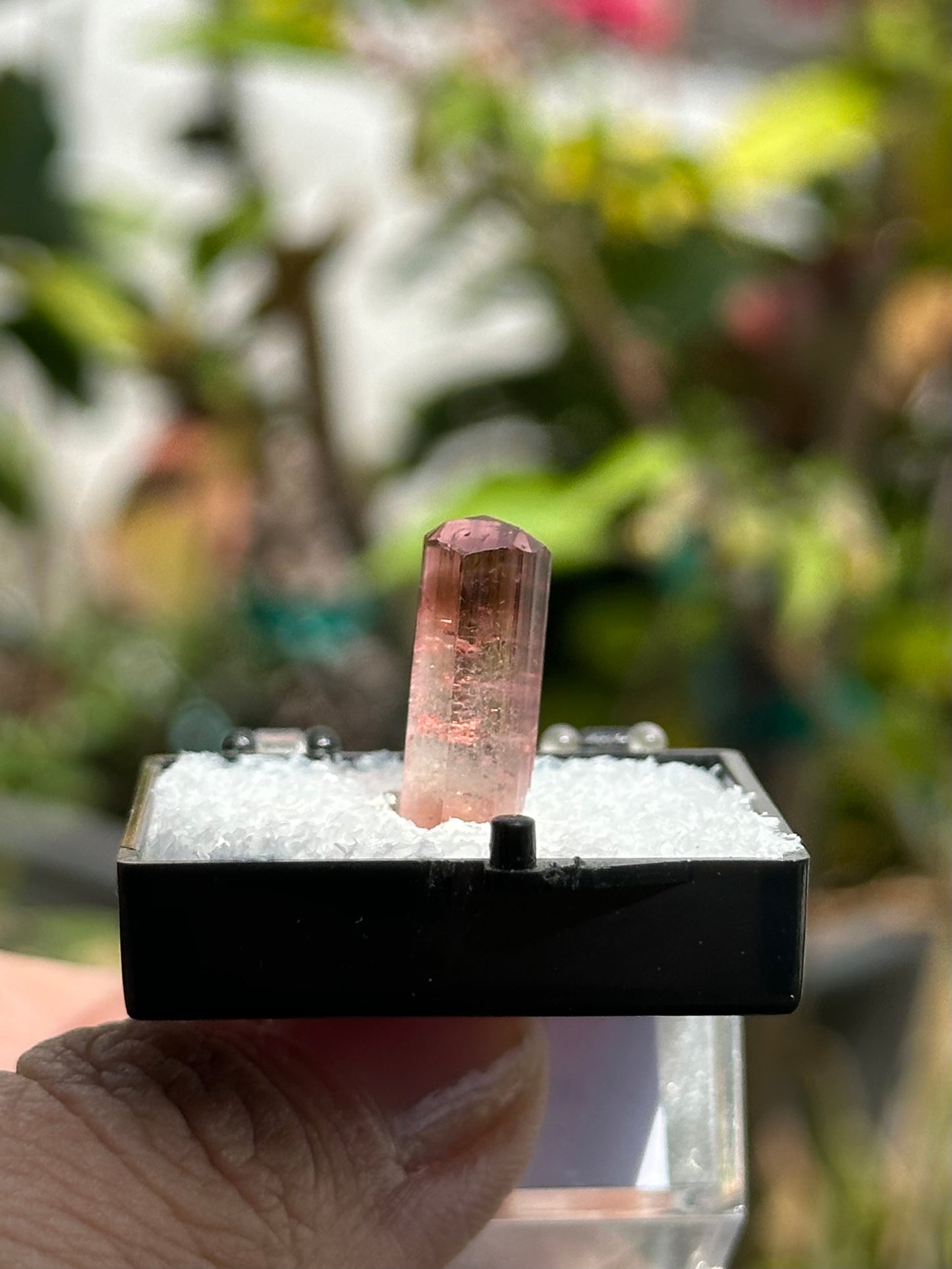 Tourmaline from Água Branca, Brazil