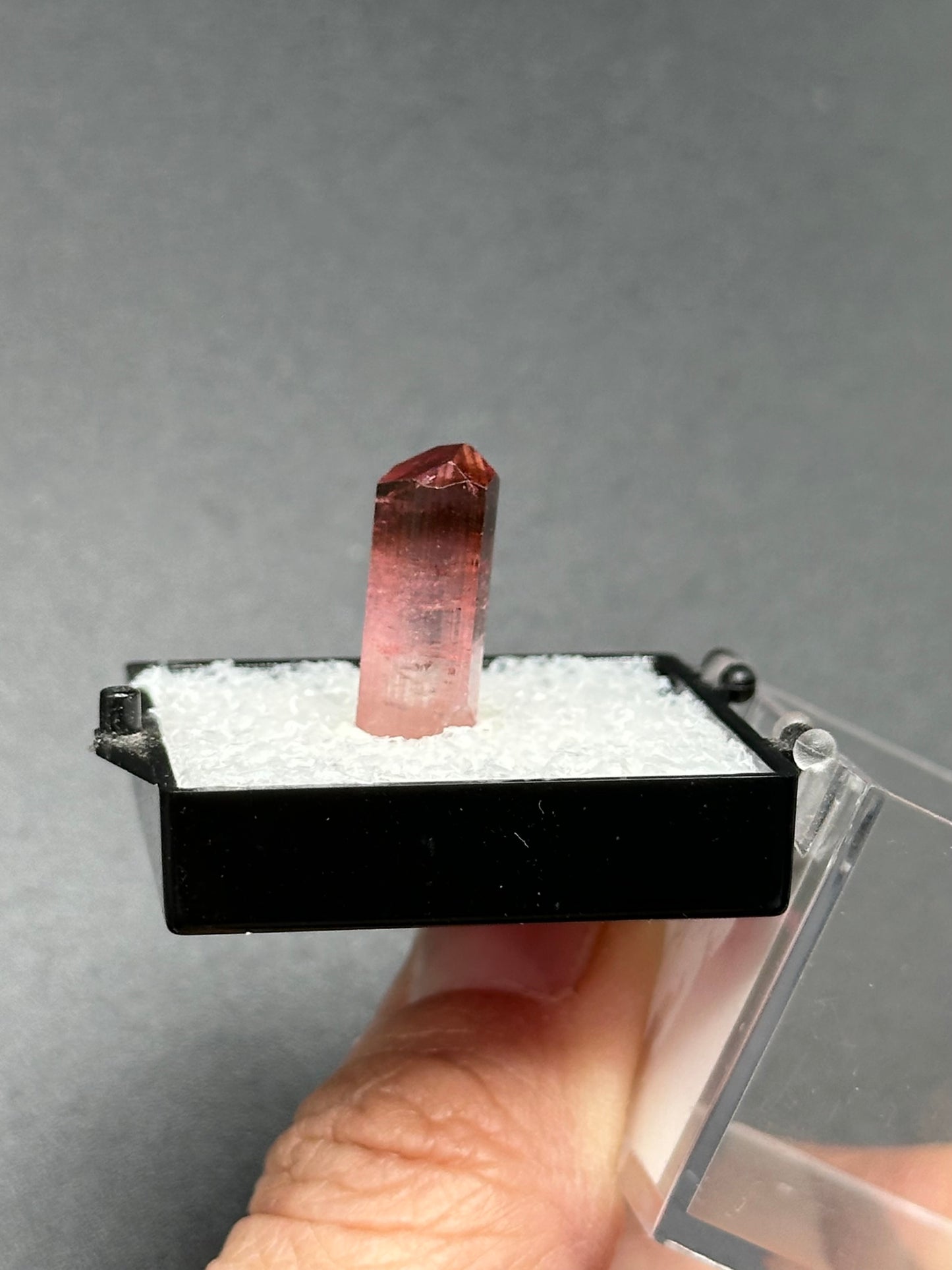 Tourmaline from Água Branca, Brazil