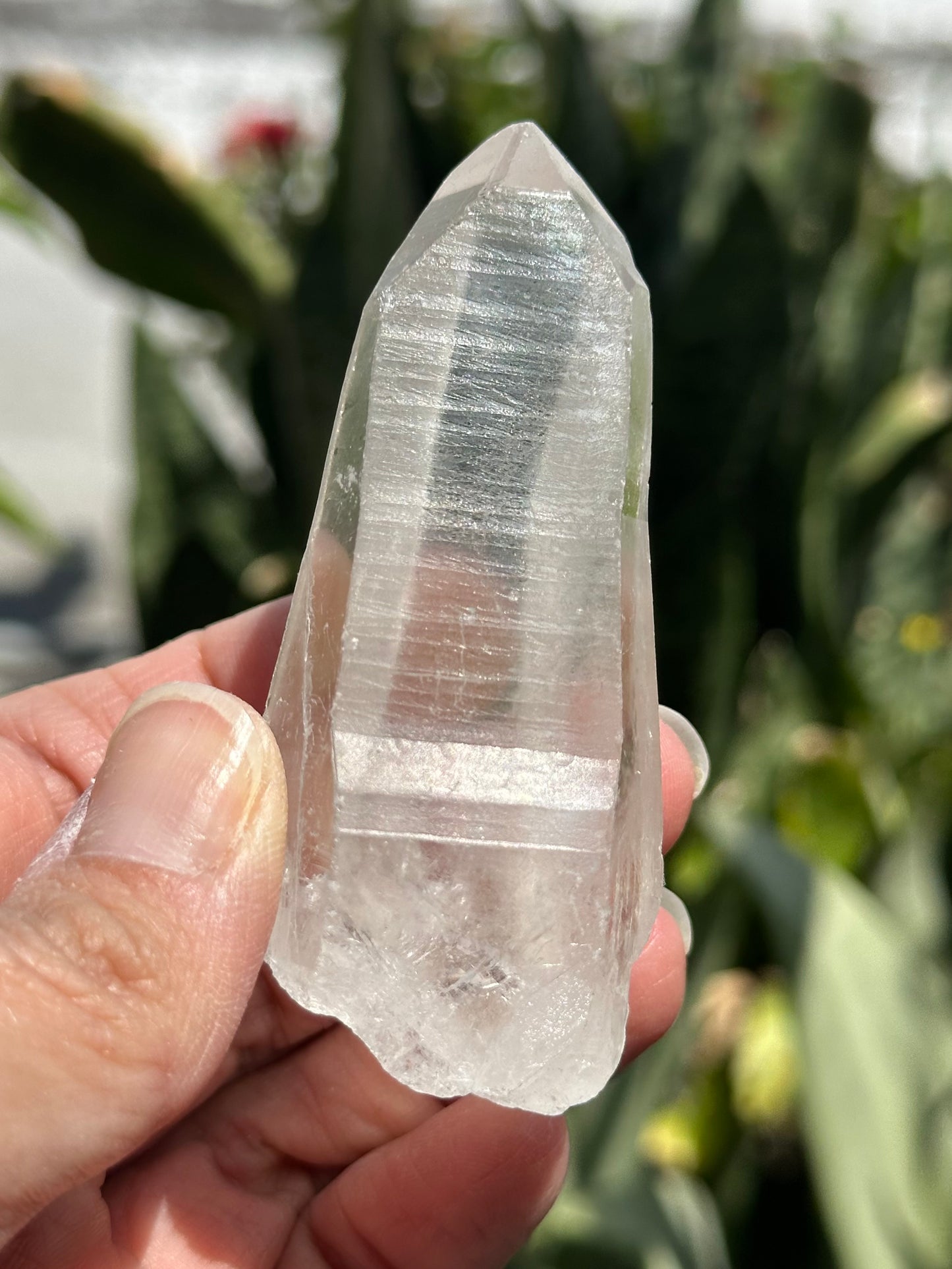 Lemurian Quartz