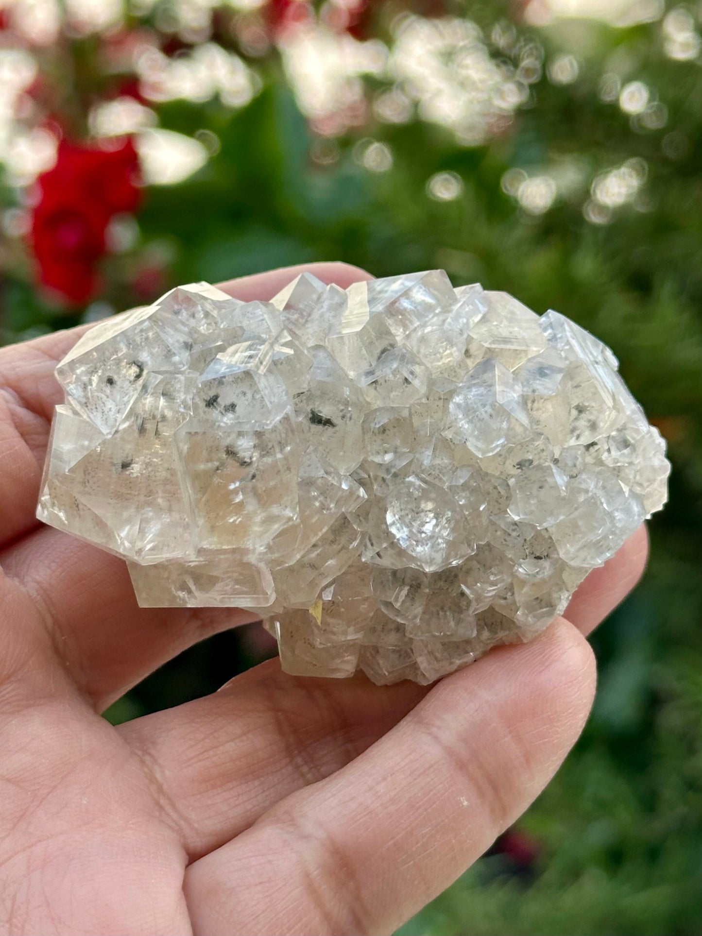 Calcite and Marcasite from the Linwood Mine