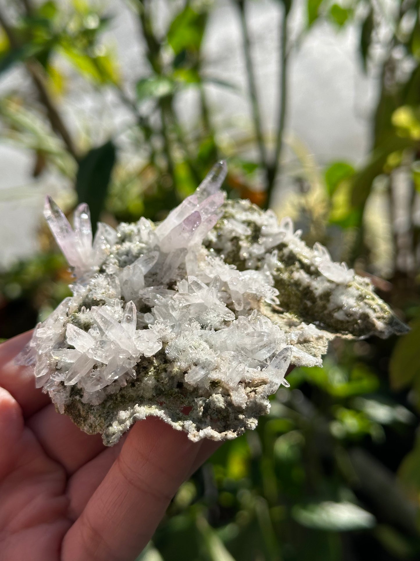 Veracruz Amethyst Crystals on Matrix
