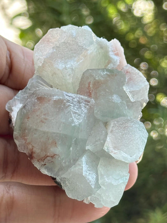 Apophyllite Specimen from India