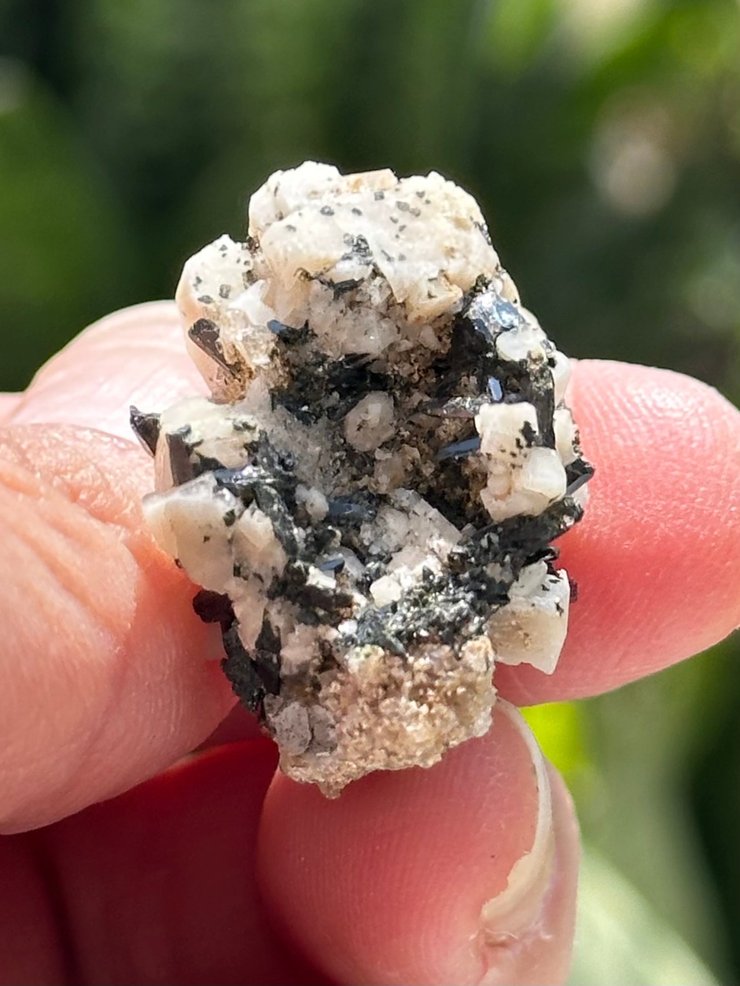 Aegirine and Feldspar Specimen
