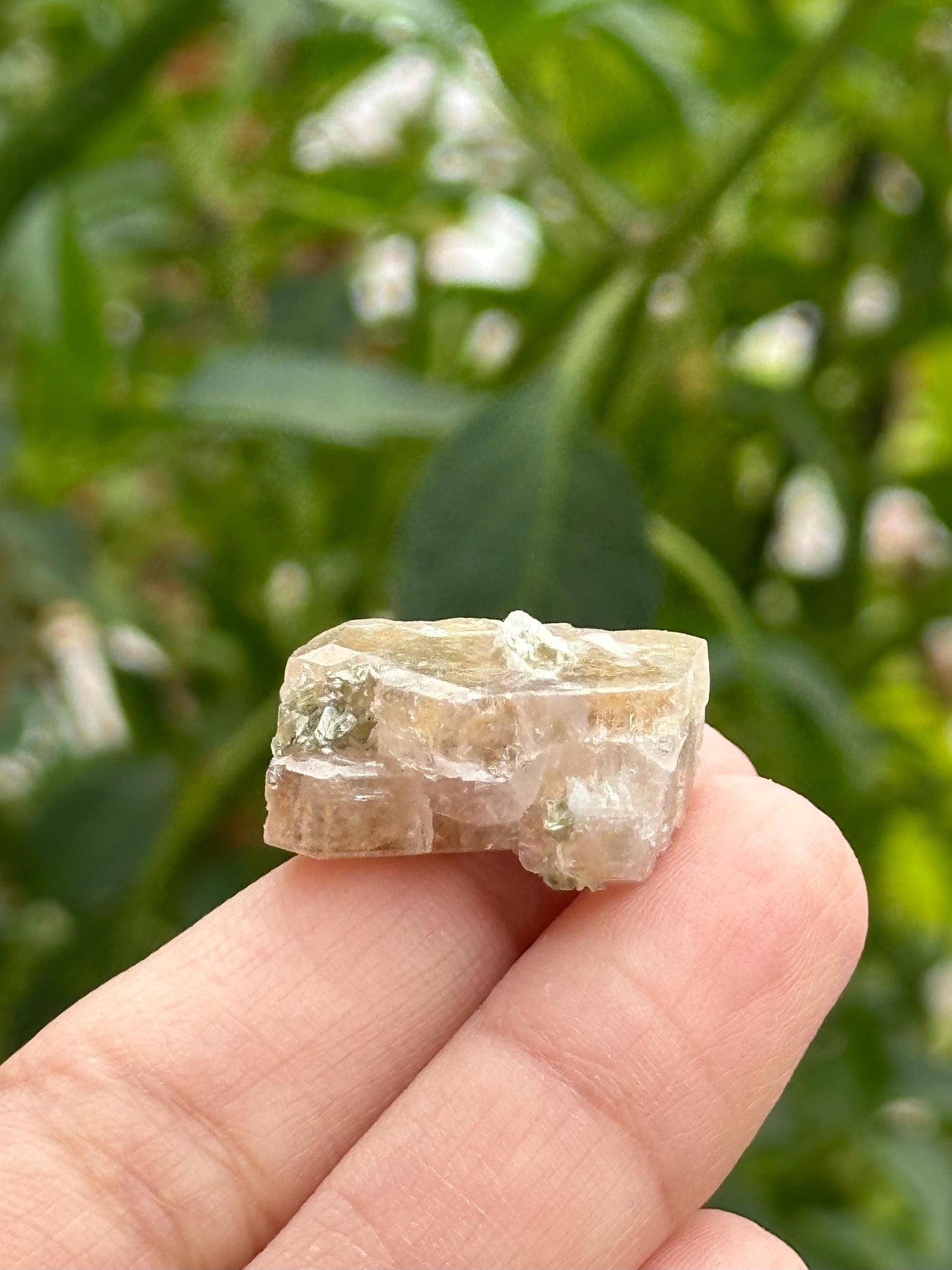 Fluorite Specimen from Clay Center, Ohio
