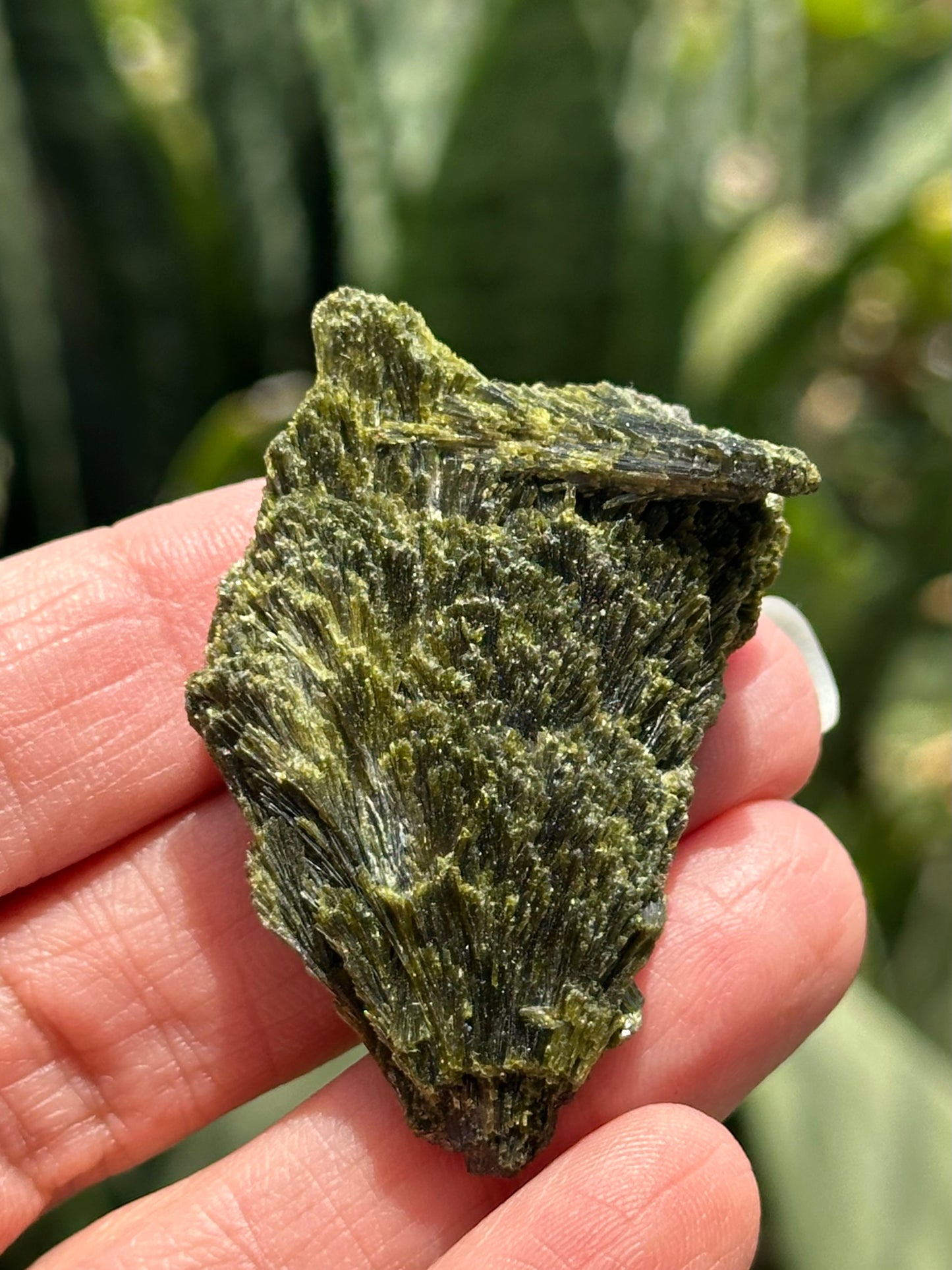 Epidote Fan