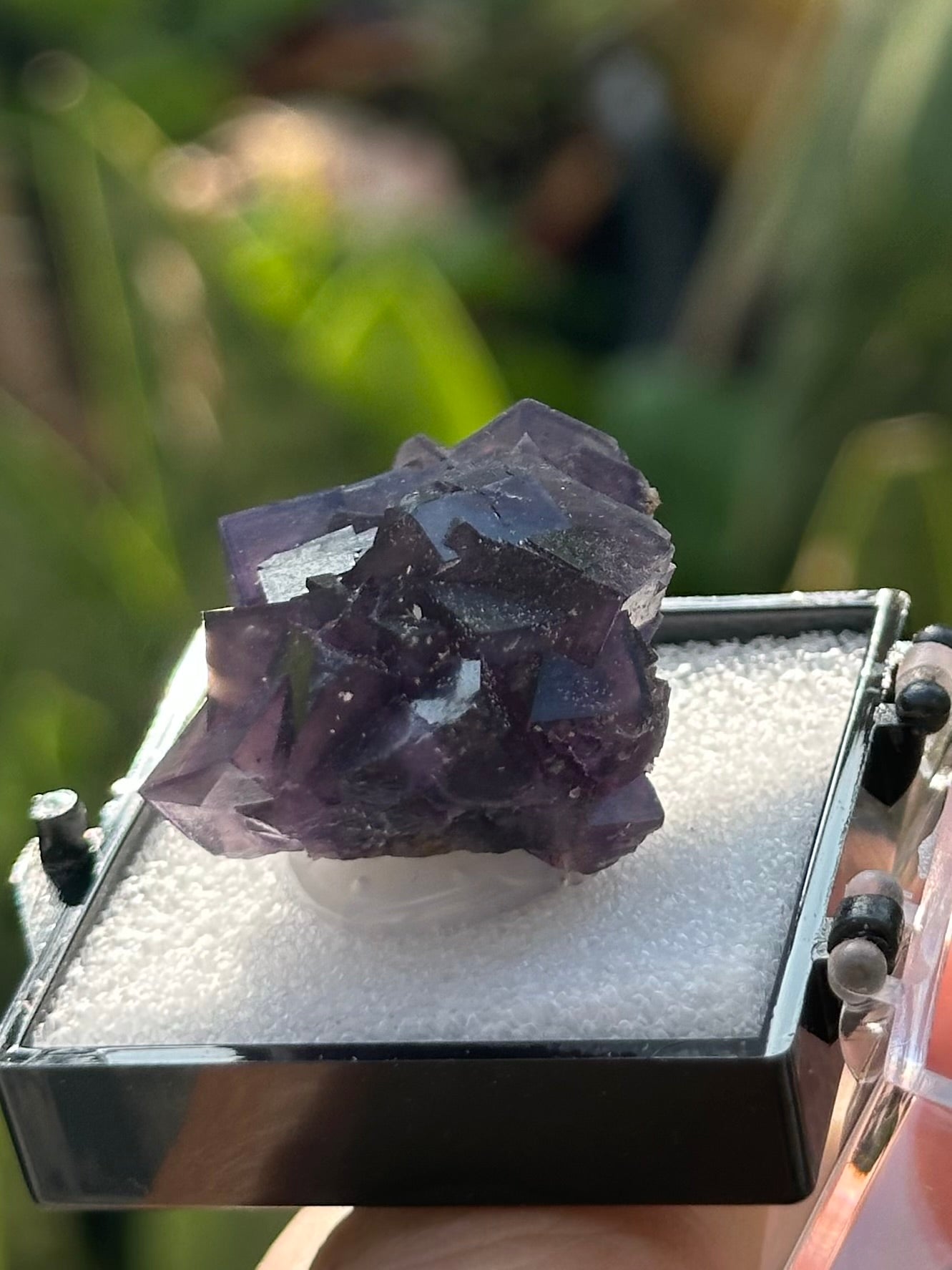 Fluorite in a perky box from Anhui, China