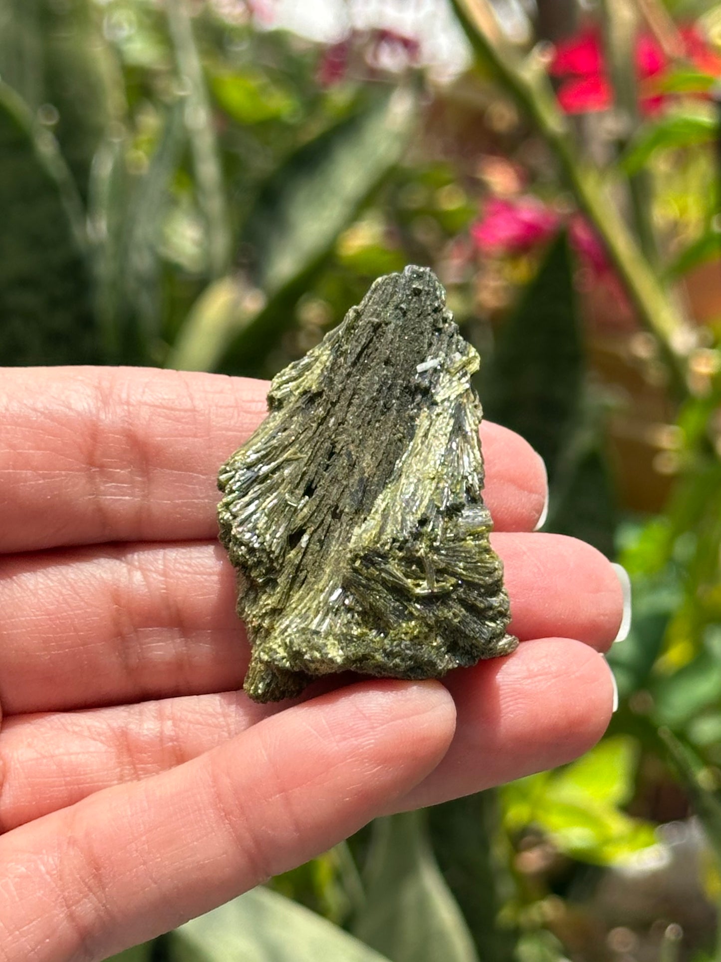 Epidote Fan