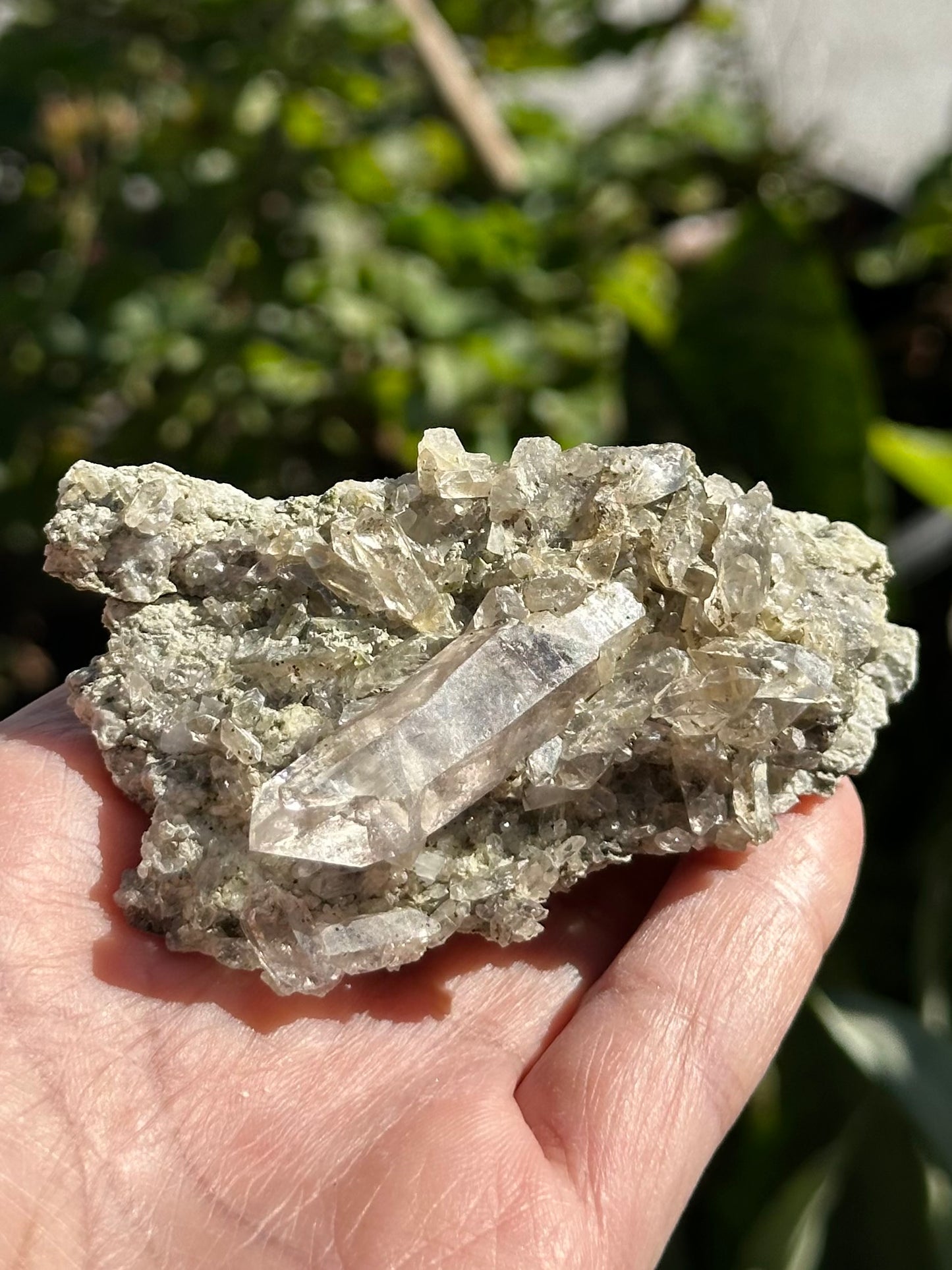 Swiss Quartz Crystals on Matrix