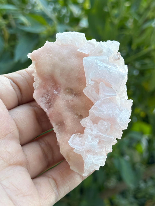 Light Pink Halite on Trona