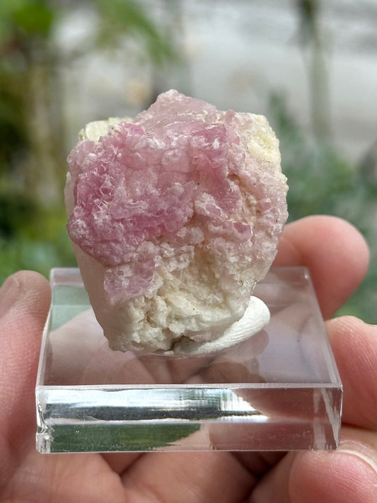 Crystallized Rose Quartz on Quartz with Mica from Brazil