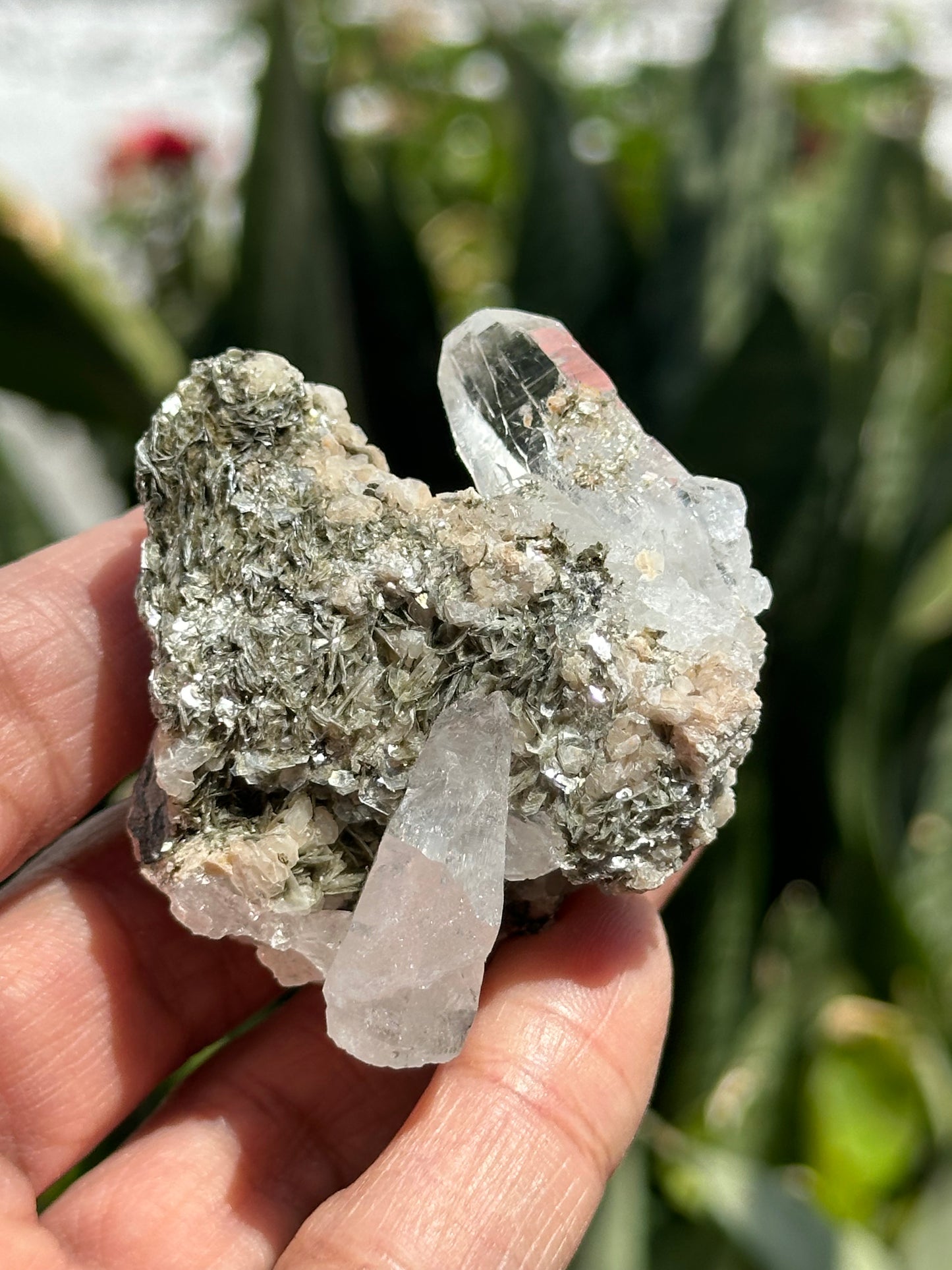 Swiss Quartz with Muscovite Specimen