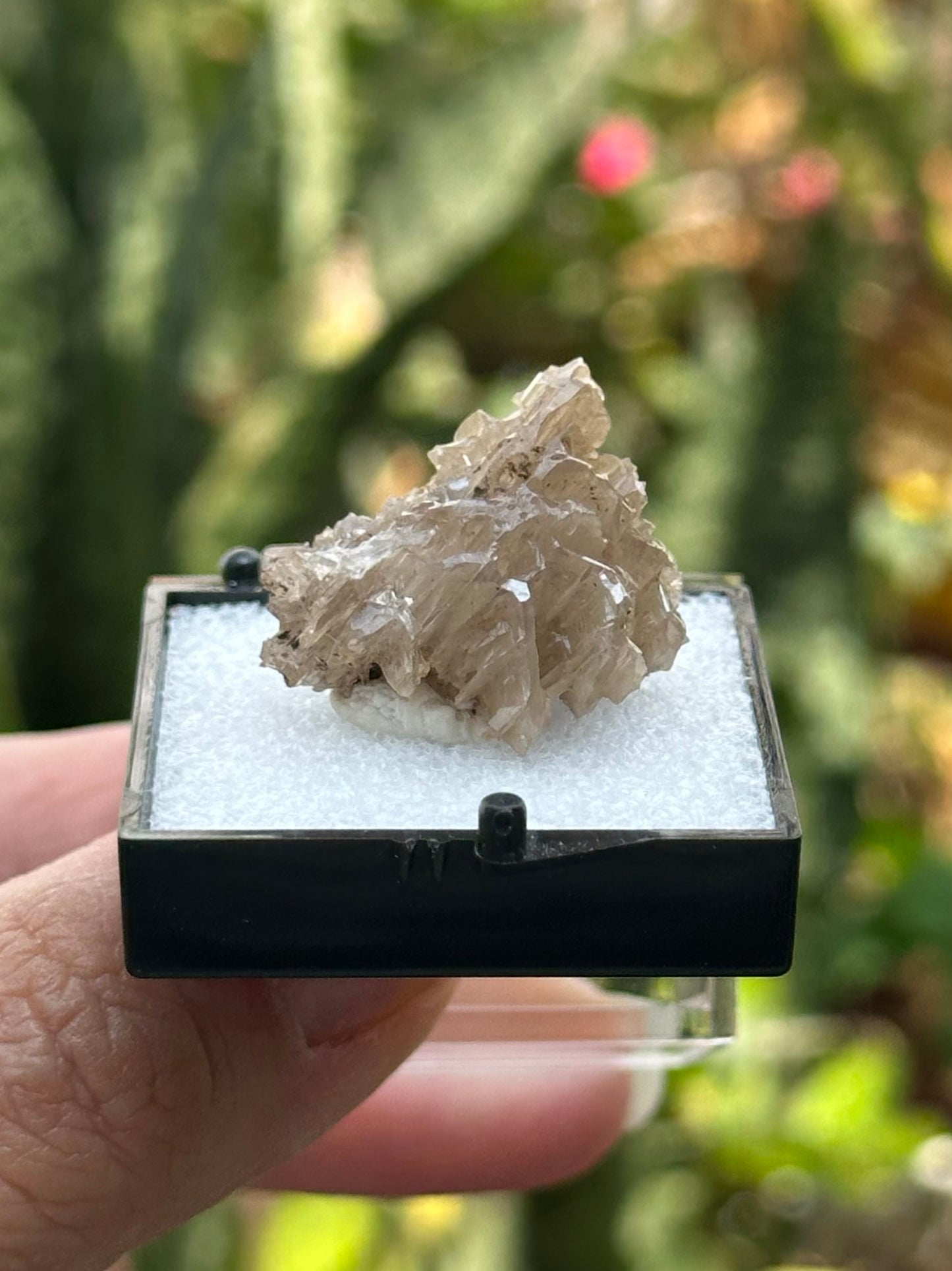 Cerussite