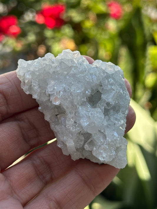 Apophyllite Crystal