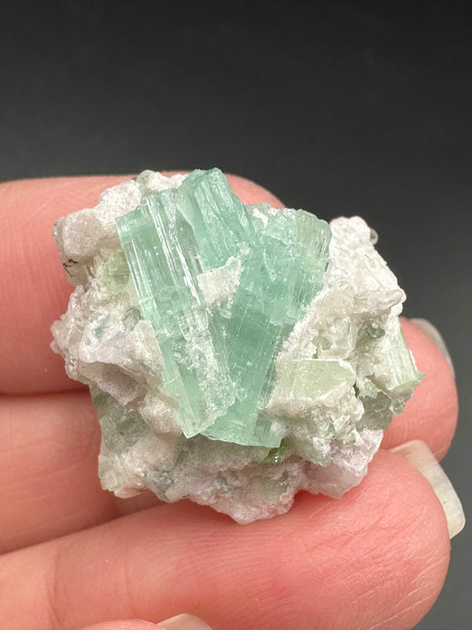 Tourmaline in Quartz