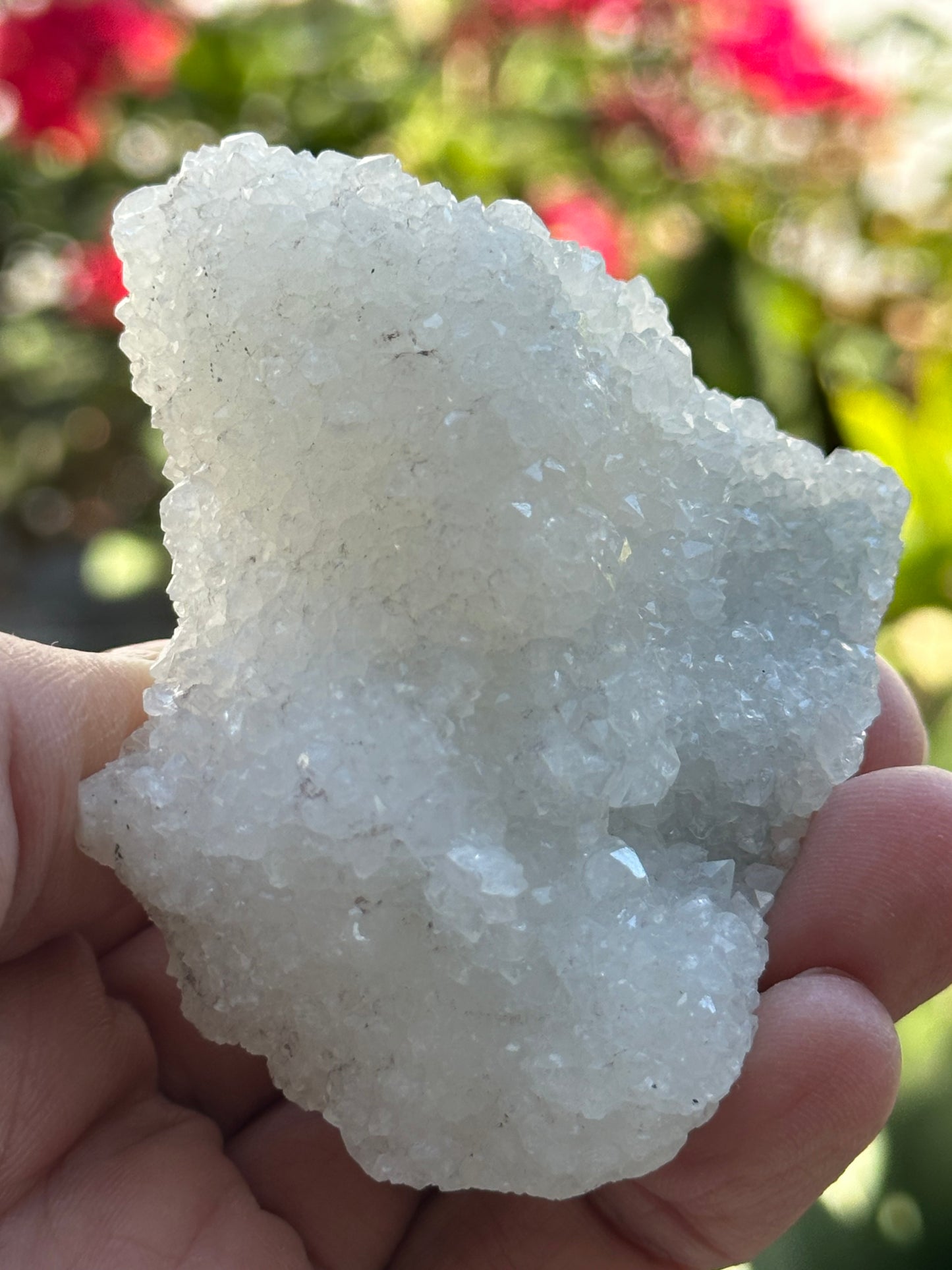 Apophyllite Specimen from India