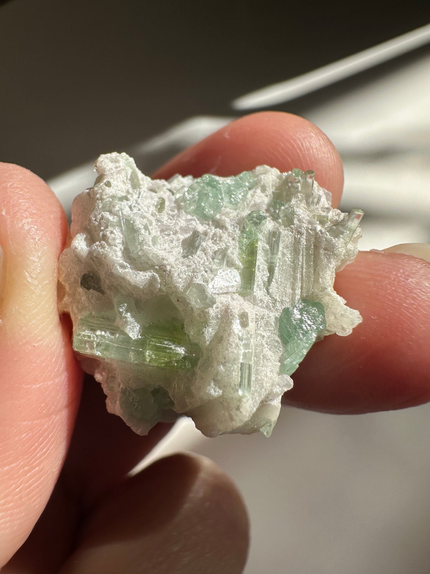 Tourmaline in Quartz