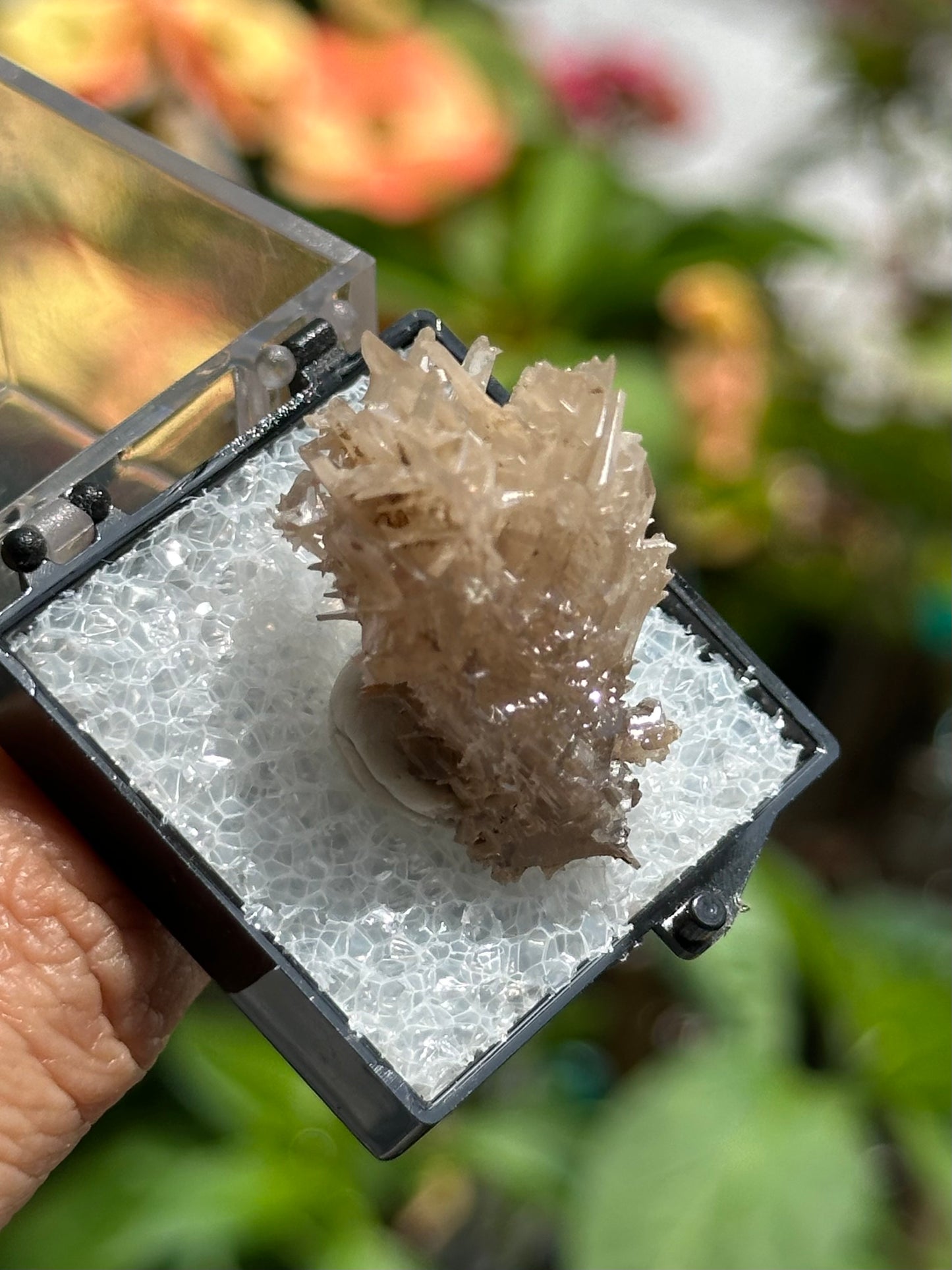 Cerussite