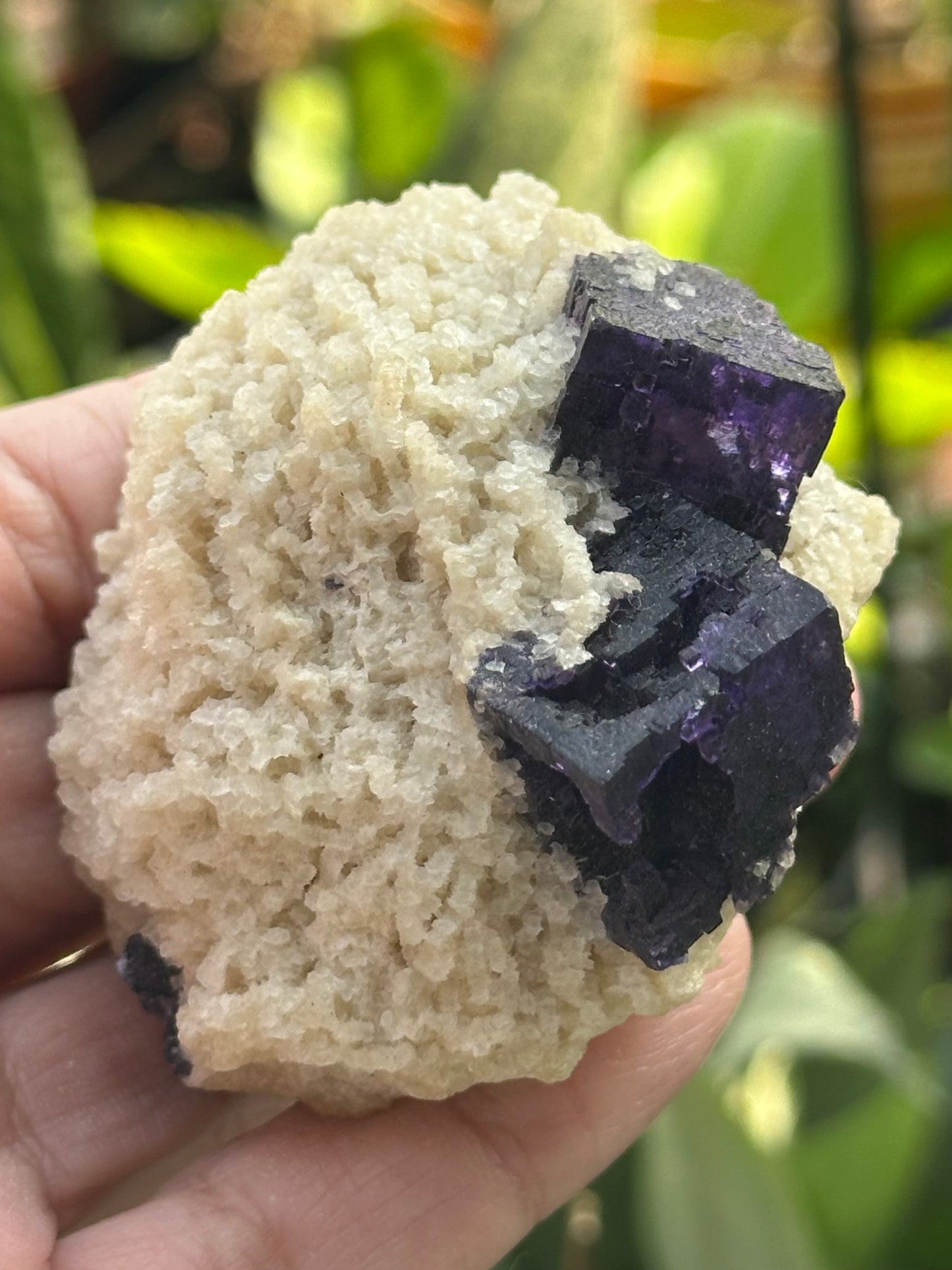 Fluorite and Dolomite from the Elmwood Mine