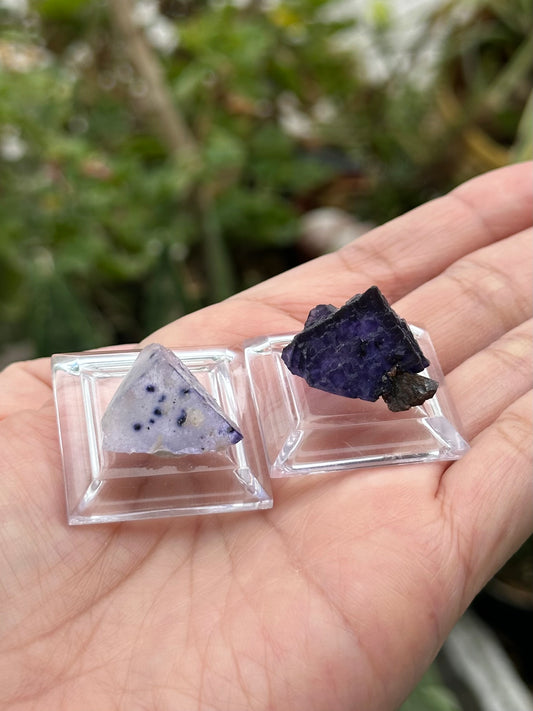 2 Fluorites from the Elmwood Mine on Stands