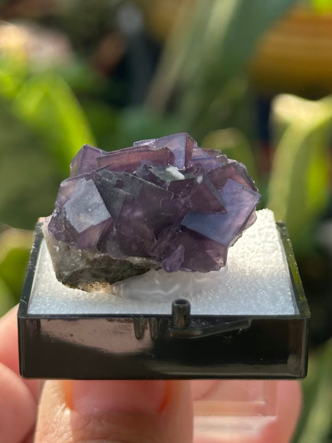 Fluorite in a perky box from Anhui, China