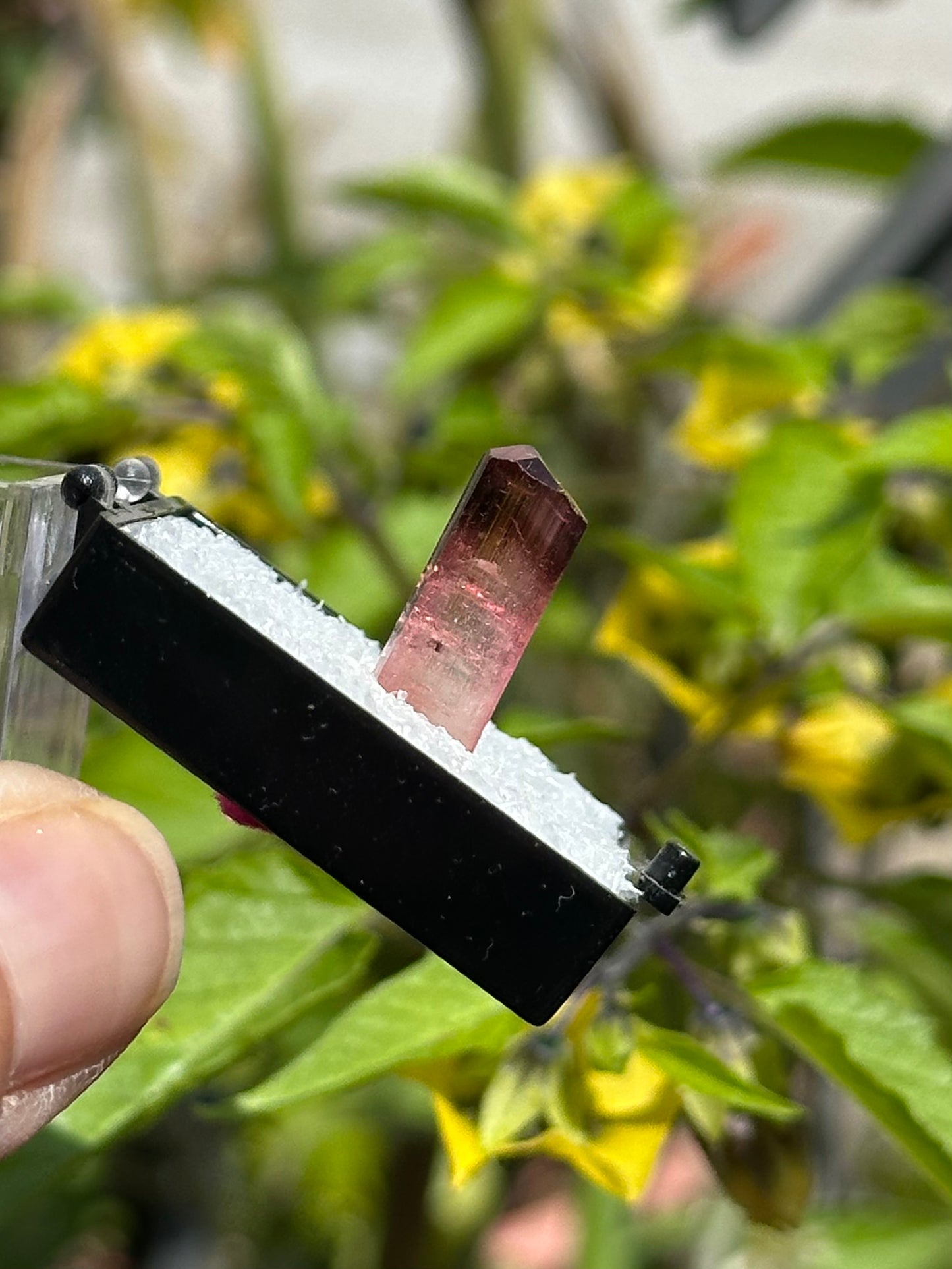 Tourmaline from Água Branca, Brazil