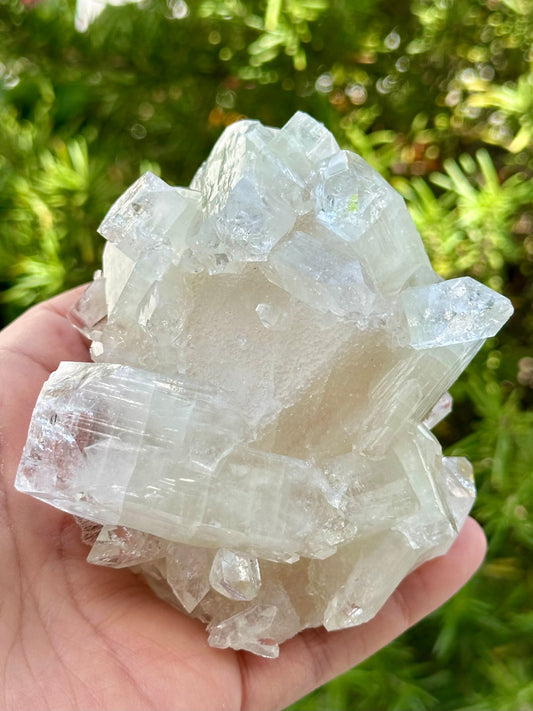Apophyllite Specimen