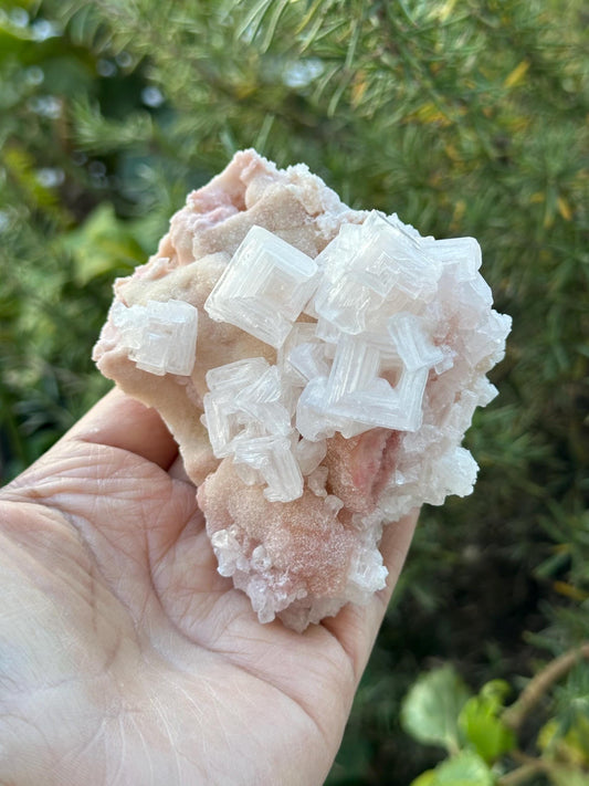 Light Pink Halite on Trona from Searles Lake, California