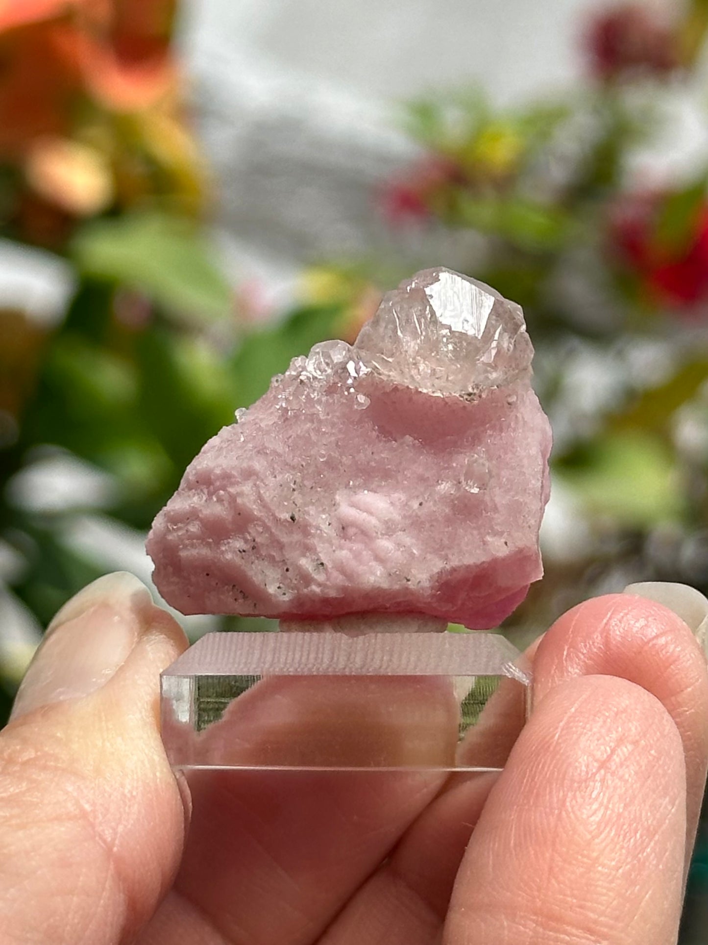 Calcite on Cobaltoan Calcite