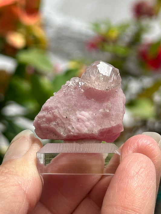 Calcite on Cobaltoan Calcite