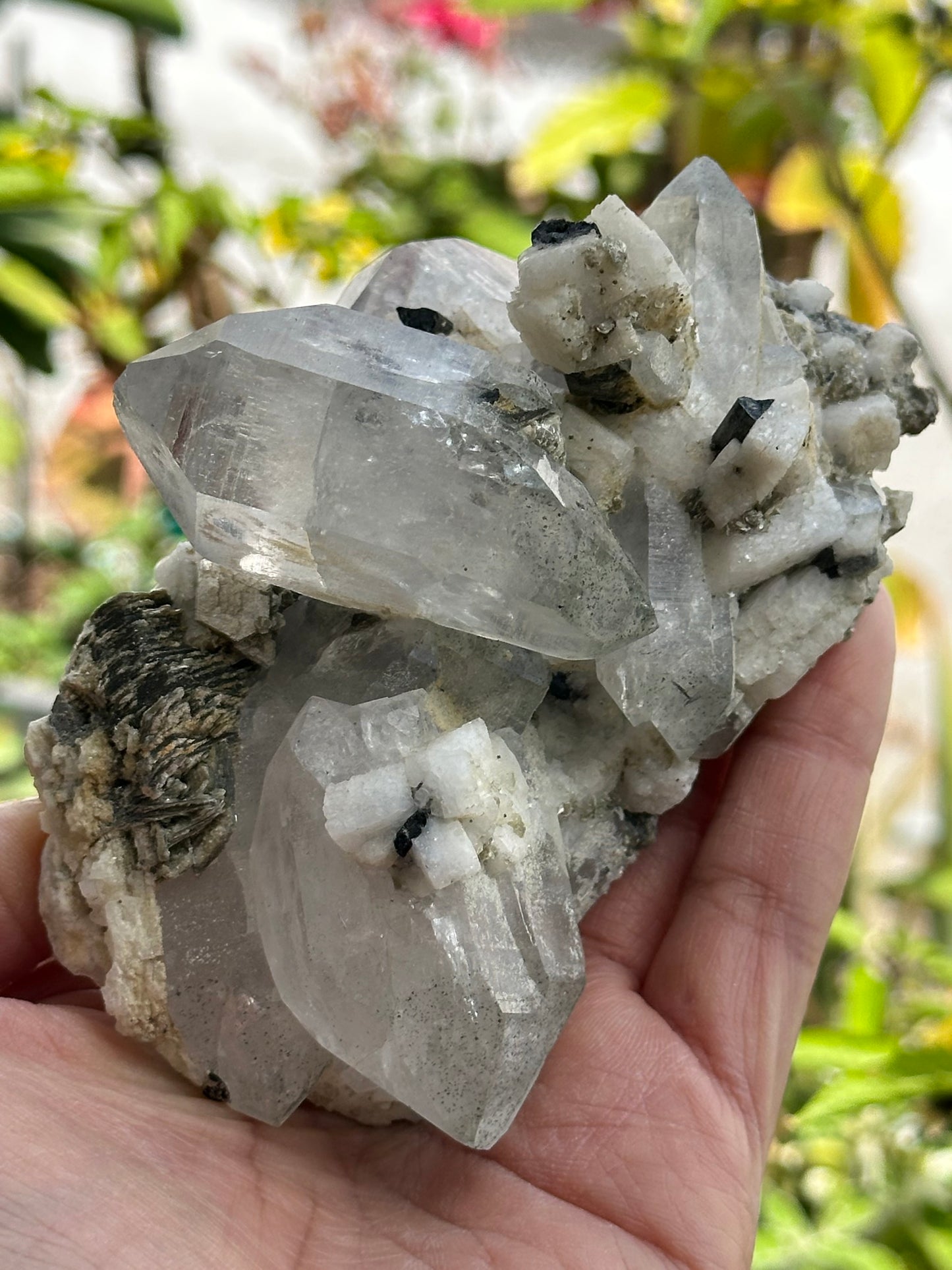 Quartz, Schorl, Albite, and Mica Specimen