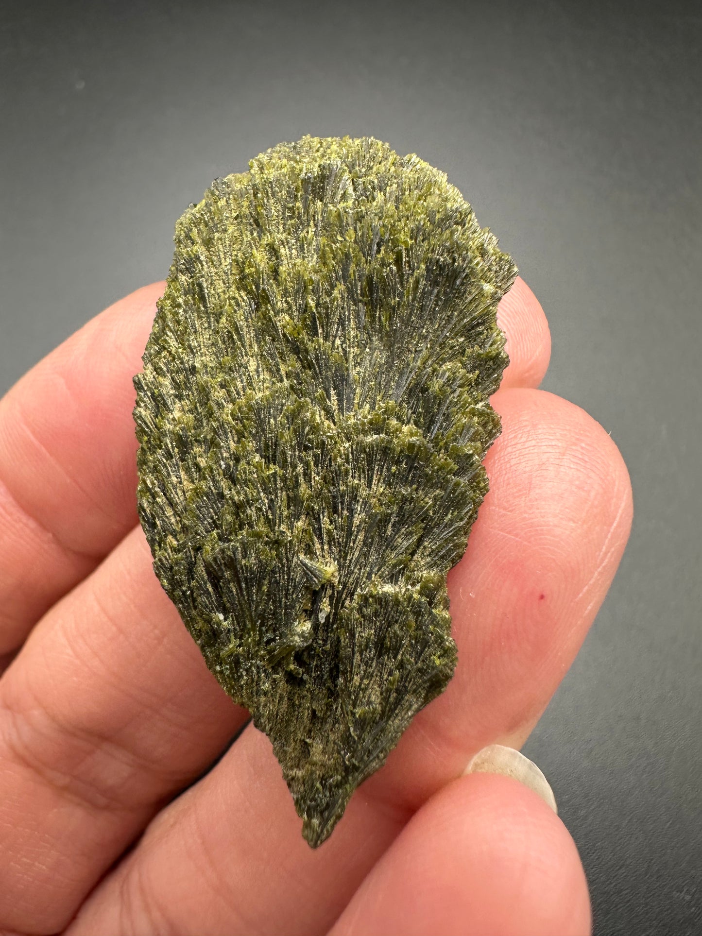 Epidote Fan