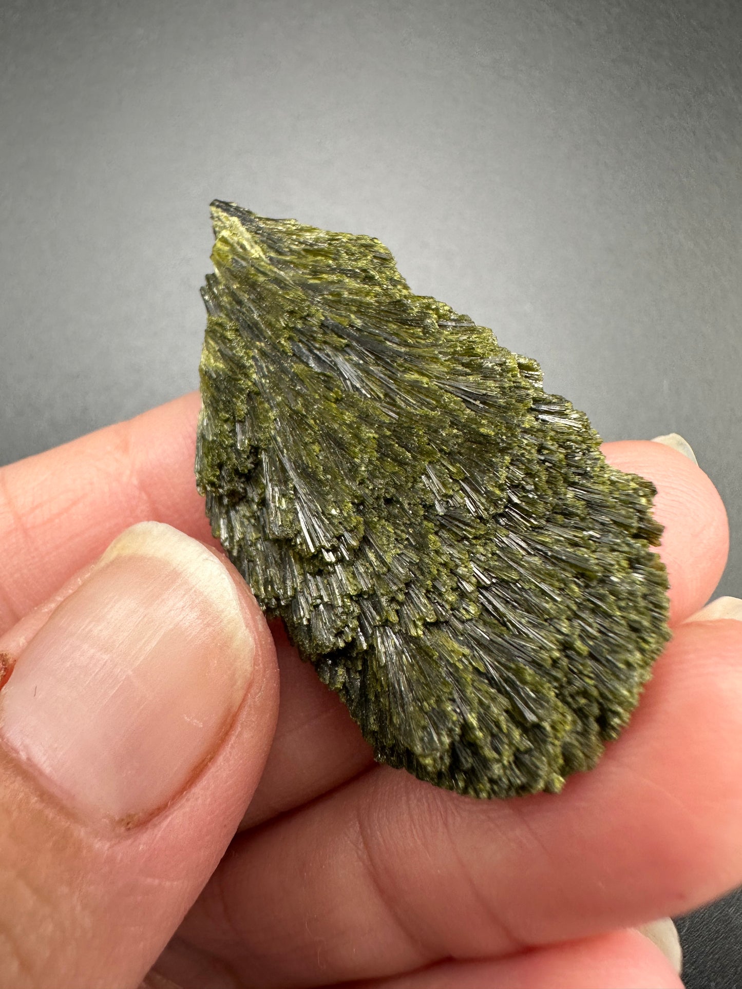 Epidote Fan