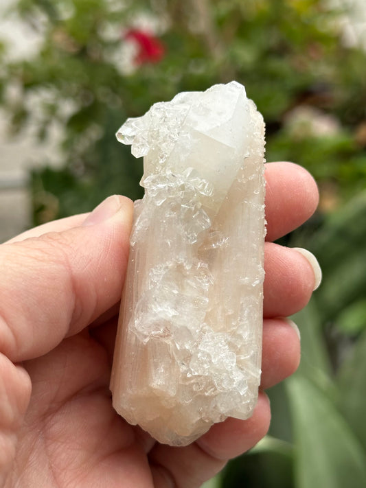Apophyllite with Stilbite from India