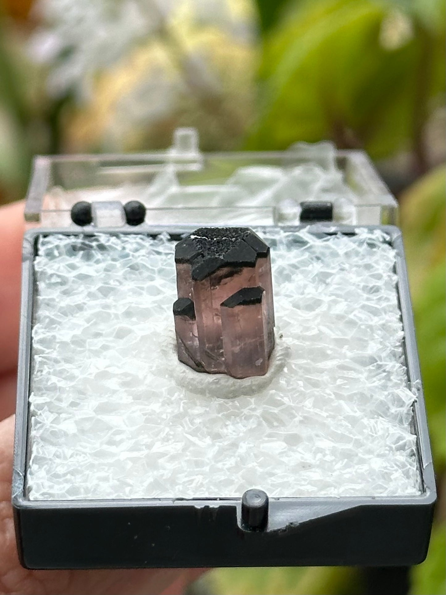 Tourmaline Specimen from Afghanistan