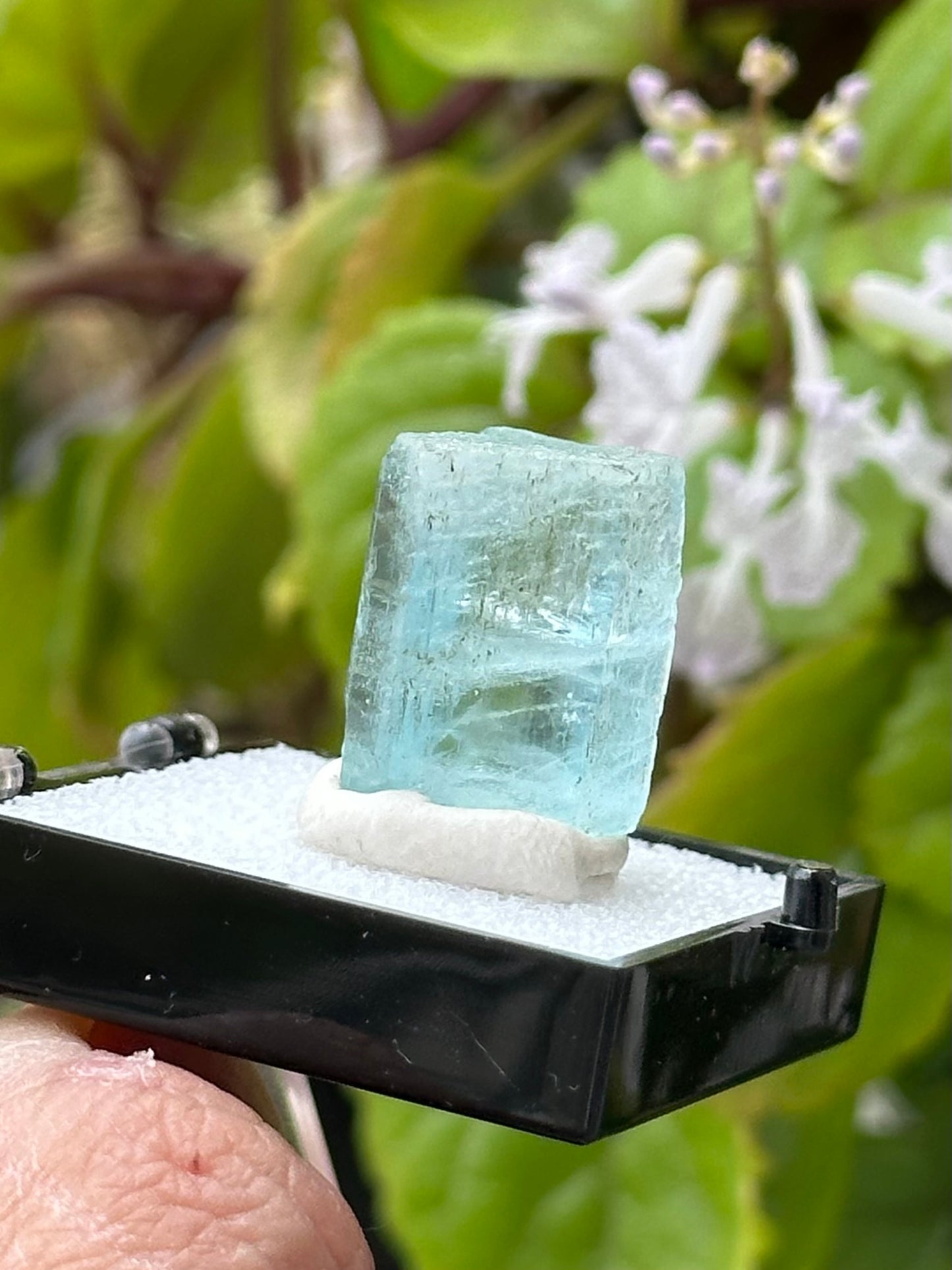 Aquamarine from Shigar Valley