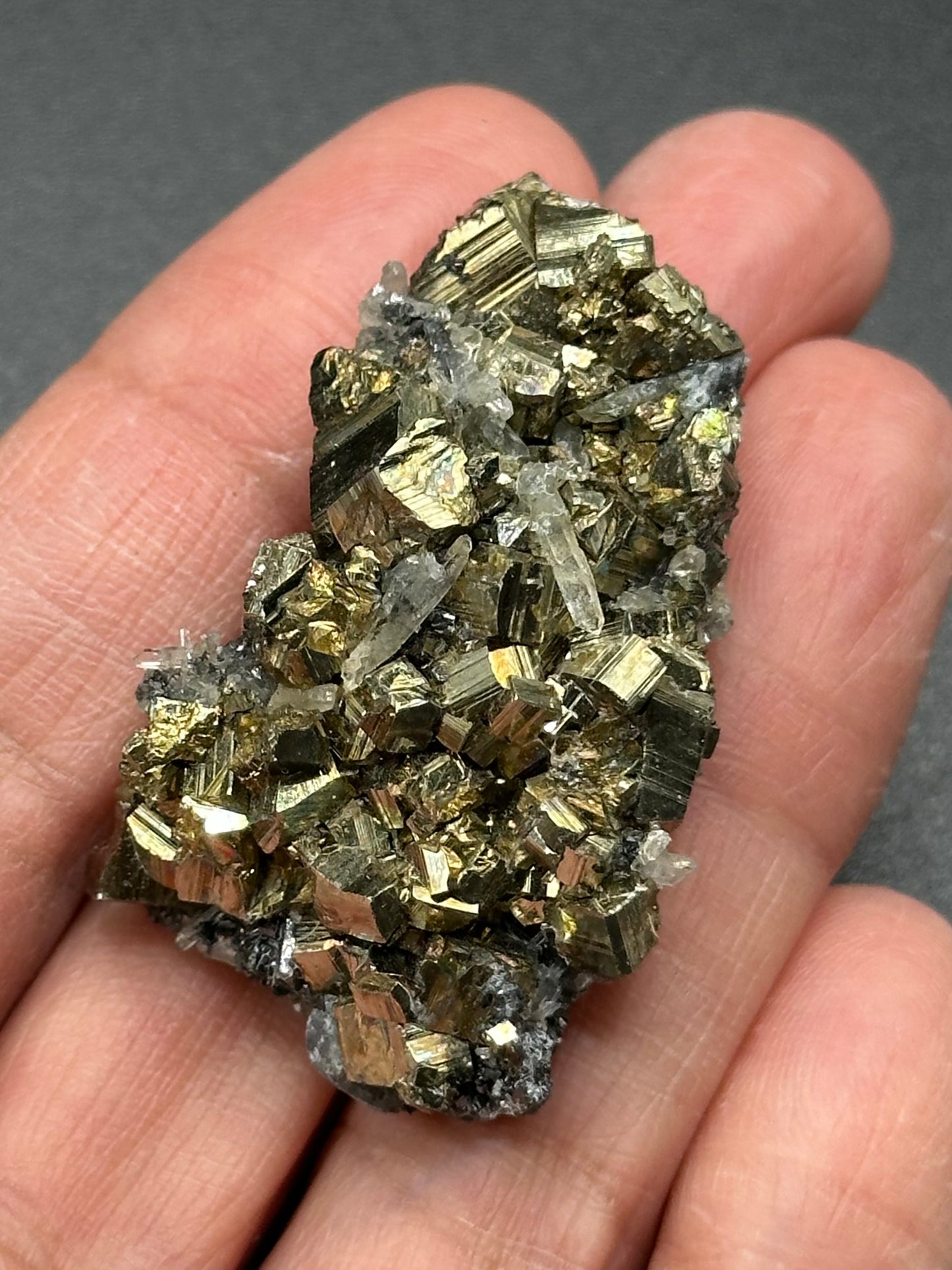 Pyrite and Quartz