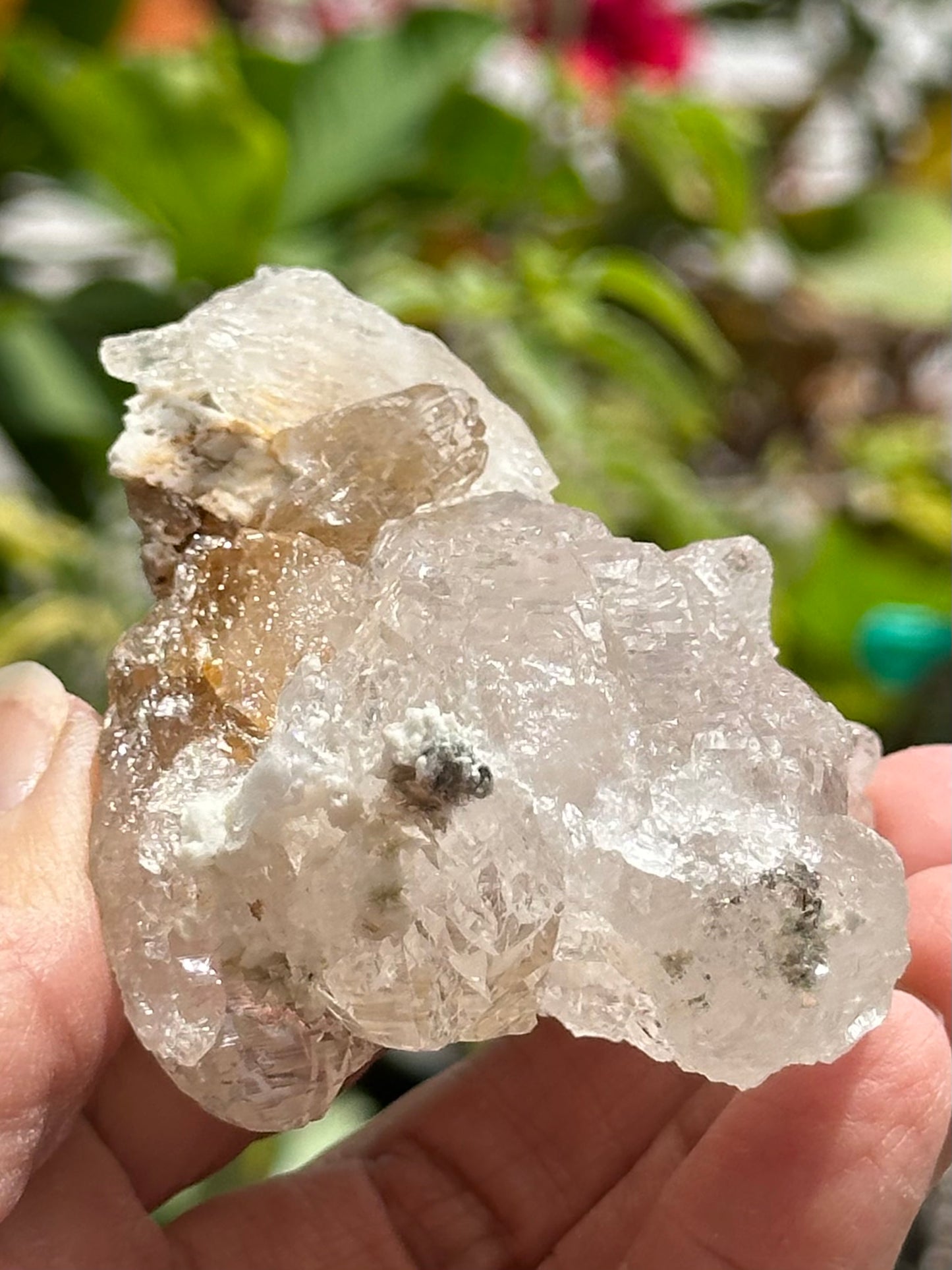 Swiss Quartz Specimen