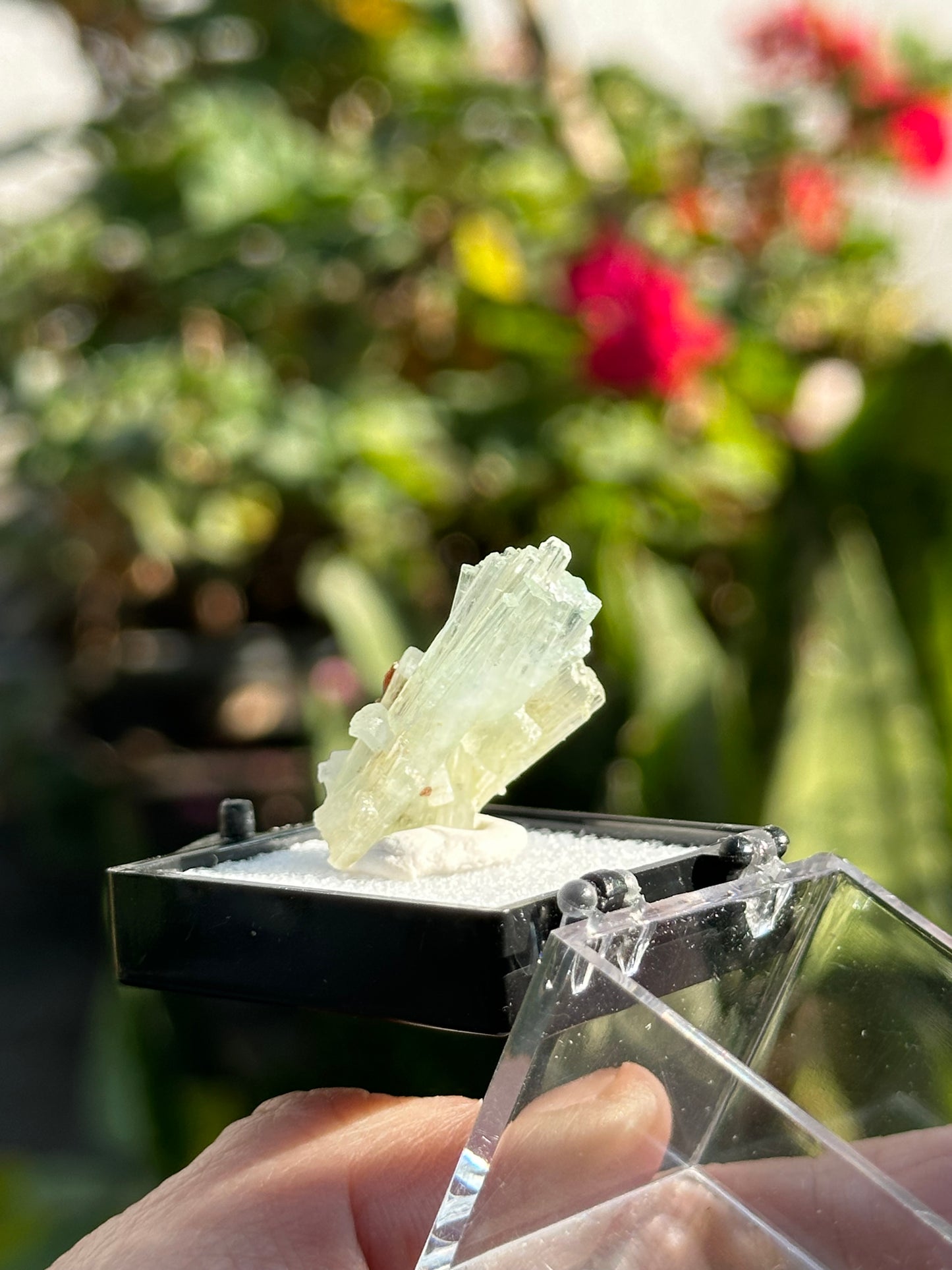 Aquamarine with Garnet